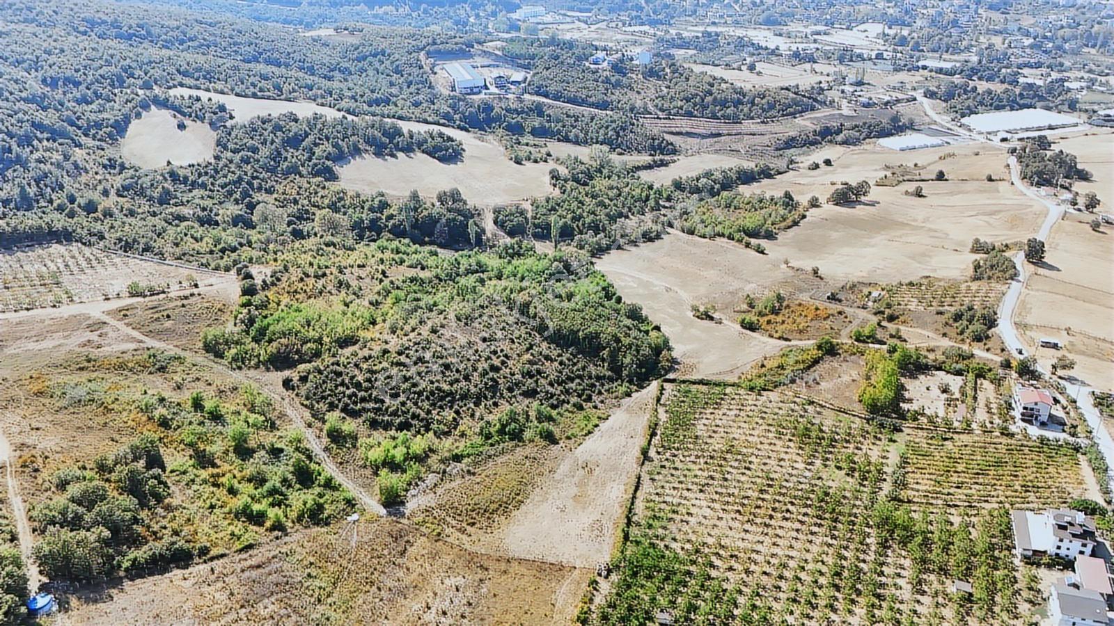 Yalova/kadıköy'de Muhtşem Konum 26.000m2 Yatırımlık Tarla!!! - Görsel 3