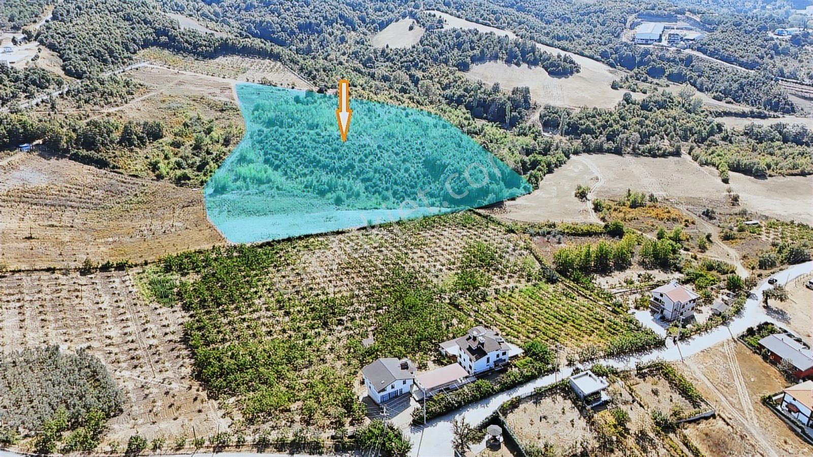 Yalova/kadıköy'de Muhtşem Konum 26.000m2 Yatırımlık Tarla!!! - Görsel 4