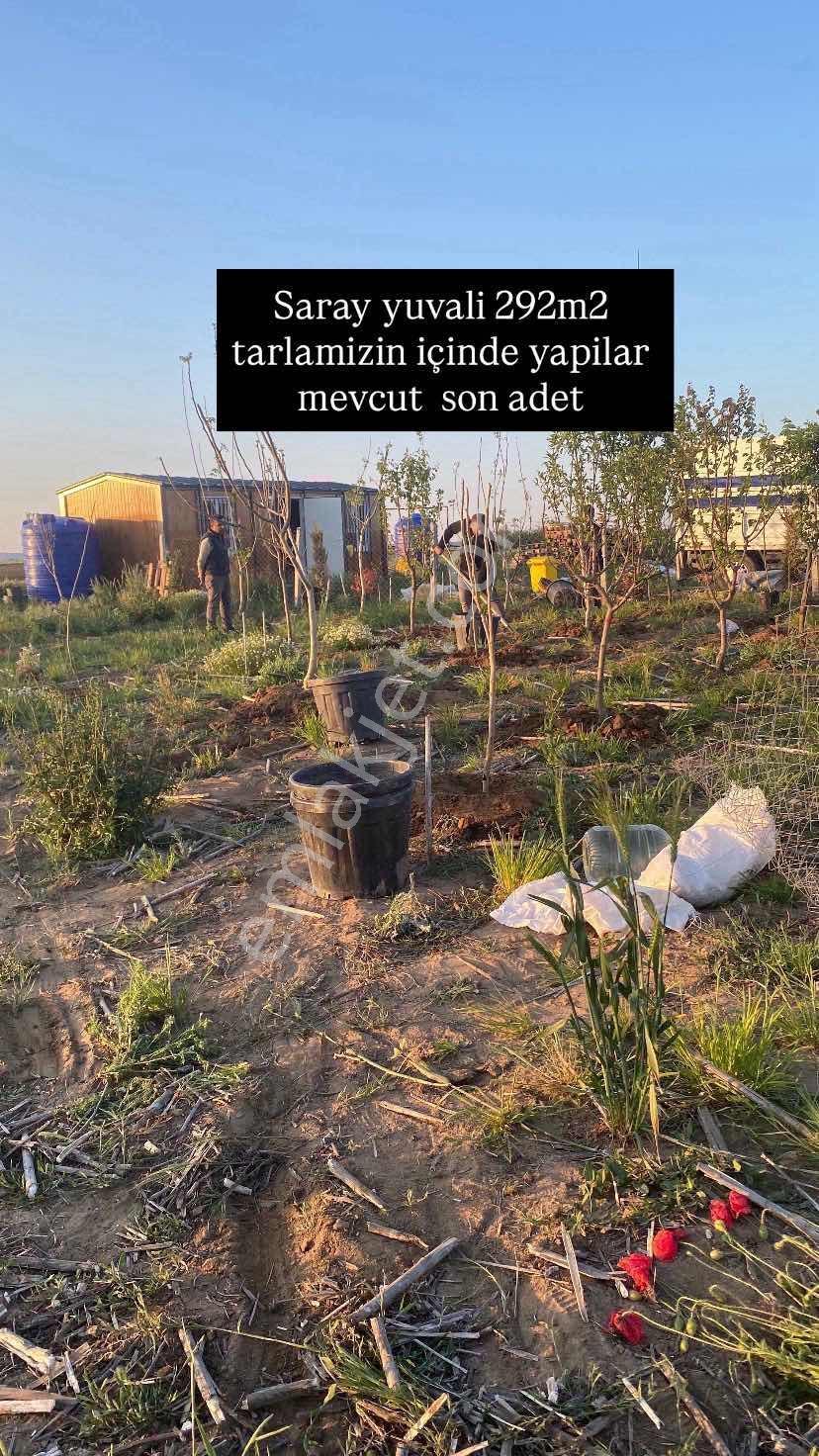 Tekirdağ Saray Yuvali 380m2 Çapli Muvakatnameli - Görsel 27