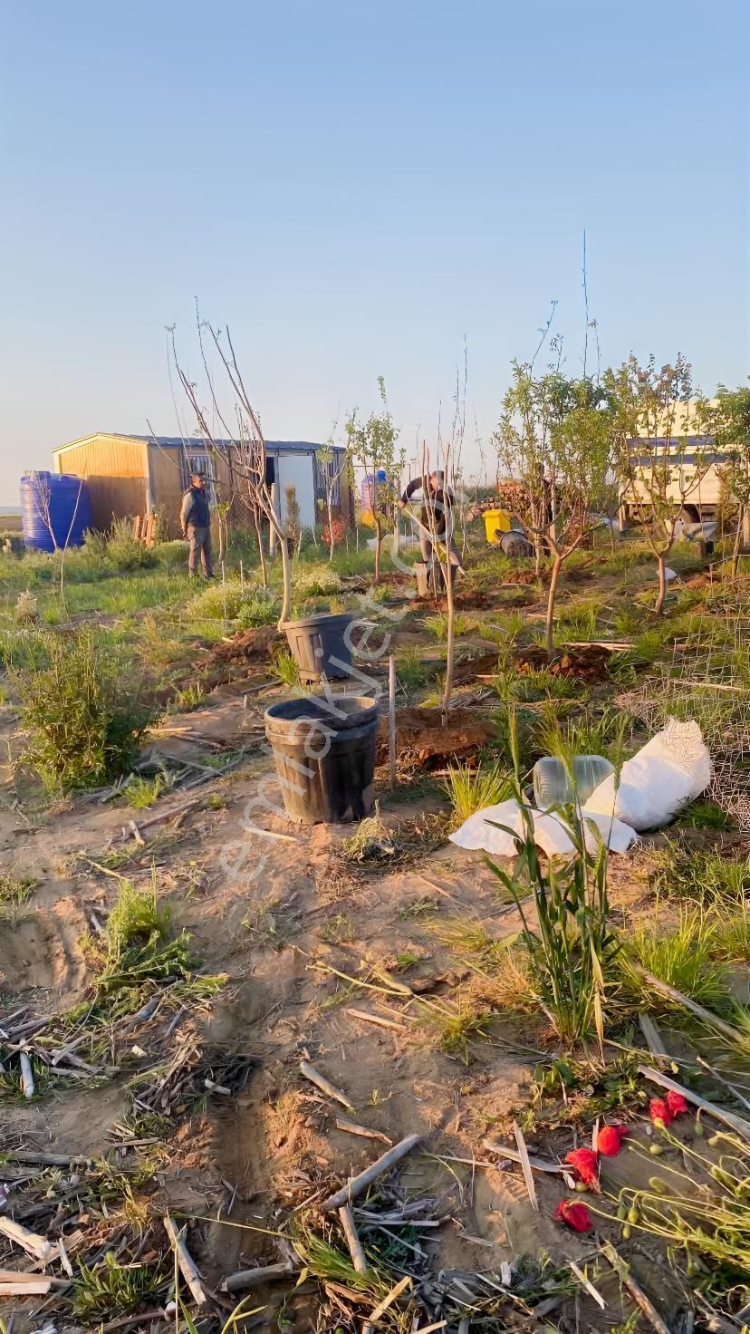 Tekirdağ Saray Yuvali 380m2 Çapli Muvakatnameli - Görsel 20