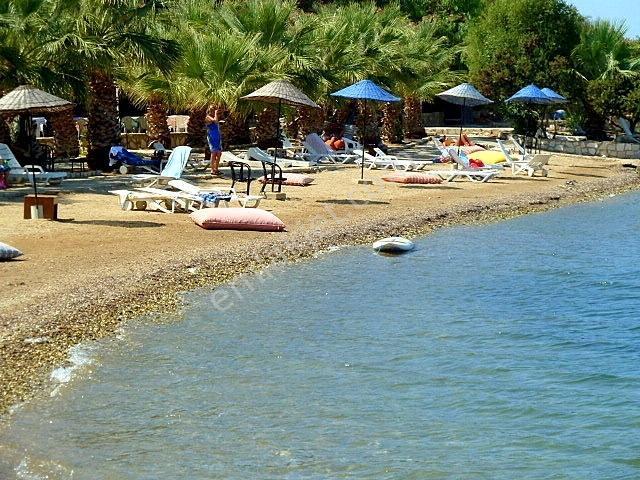Adabükü Denize Sıfır Plajlı Tam Köşe Full Manzaralı Tripleks - Görsel 22
