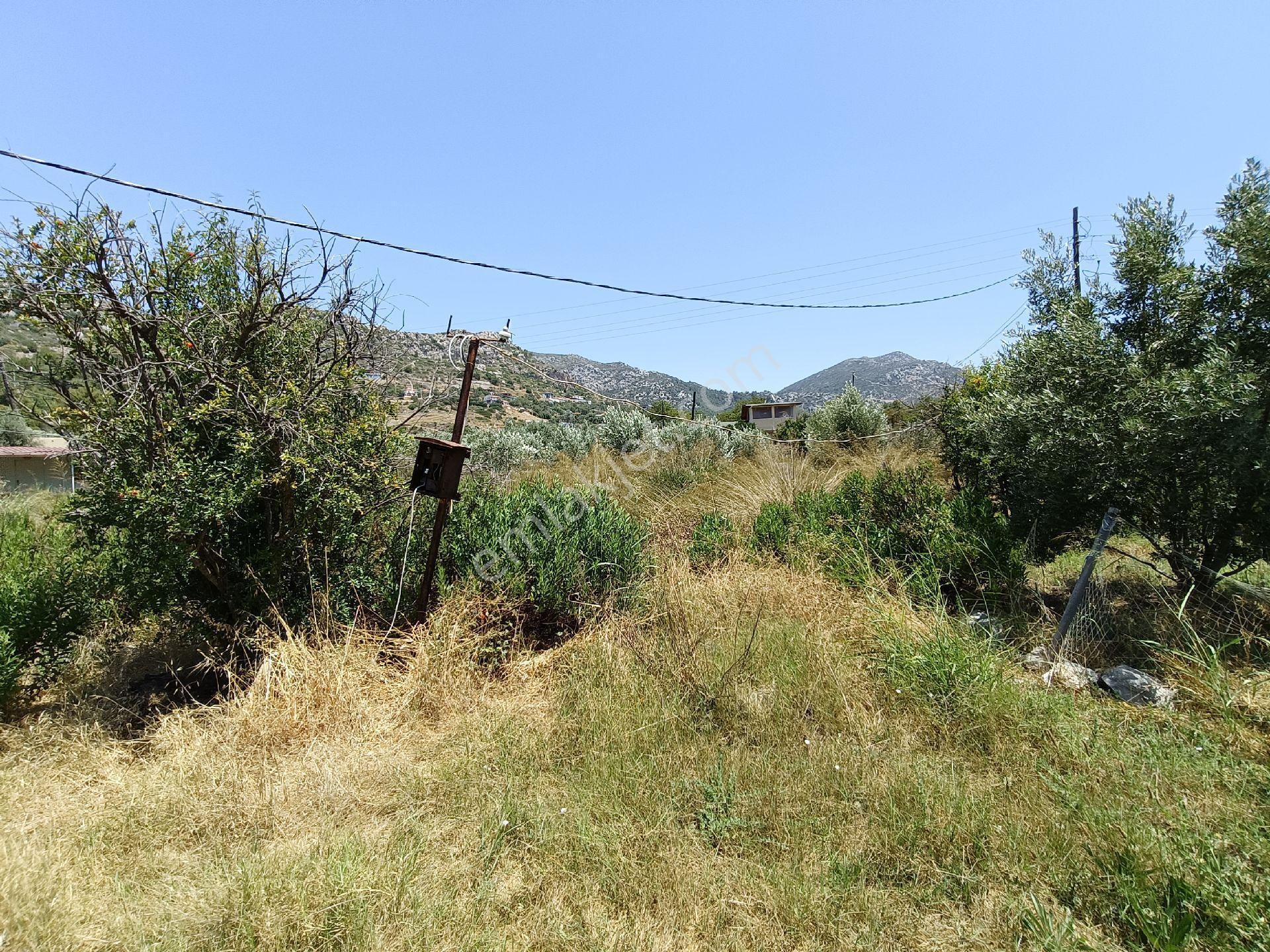 Joker: Marmaris Söğüt Denize 120 Metre Yakınlıkta Müstakil Tarla - Görsel 12