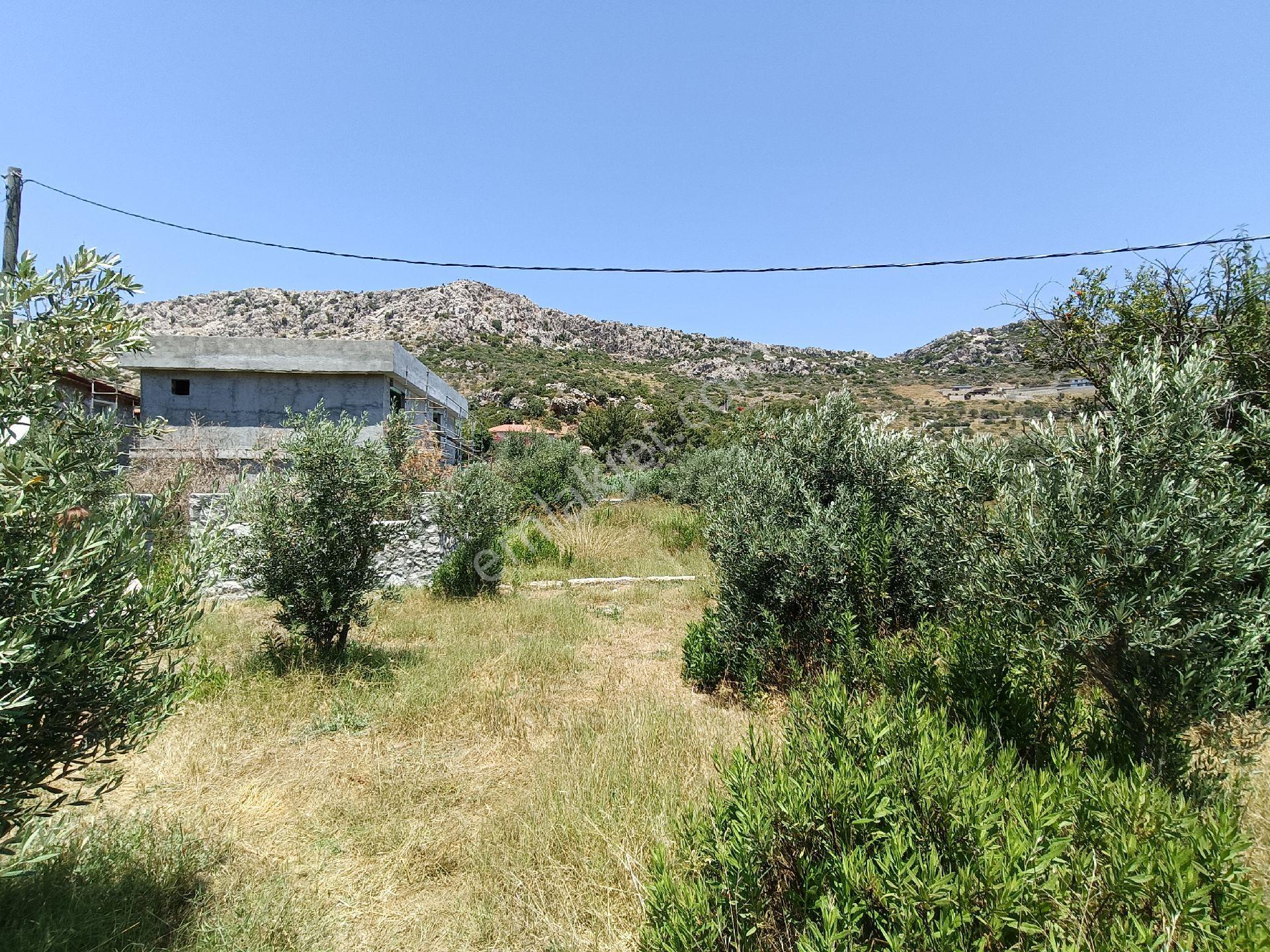 Joker: Marmaris Söğüt Denize 120 Metre Yakınlıkta Müstakil Tarla - Görsel 11