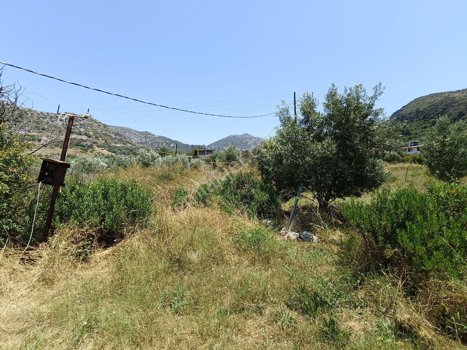 Joker: Marmaris Söğüt Denize 120 Metre Yakınlıkta Müstakil Tarla - Görsel 3