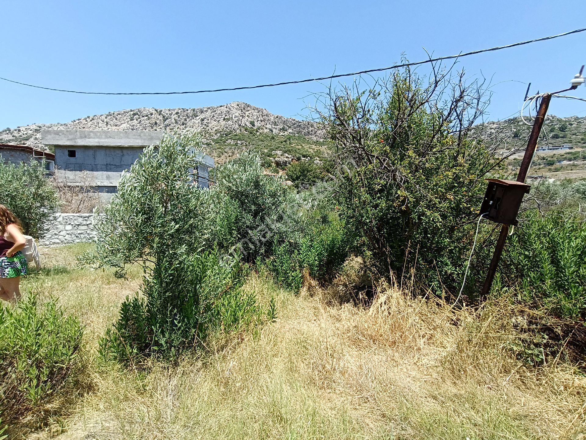 Joker: Marmaris Söğüt Denize 120 Metre Yakınlıkta Müstakil Tarla - Görsel 4