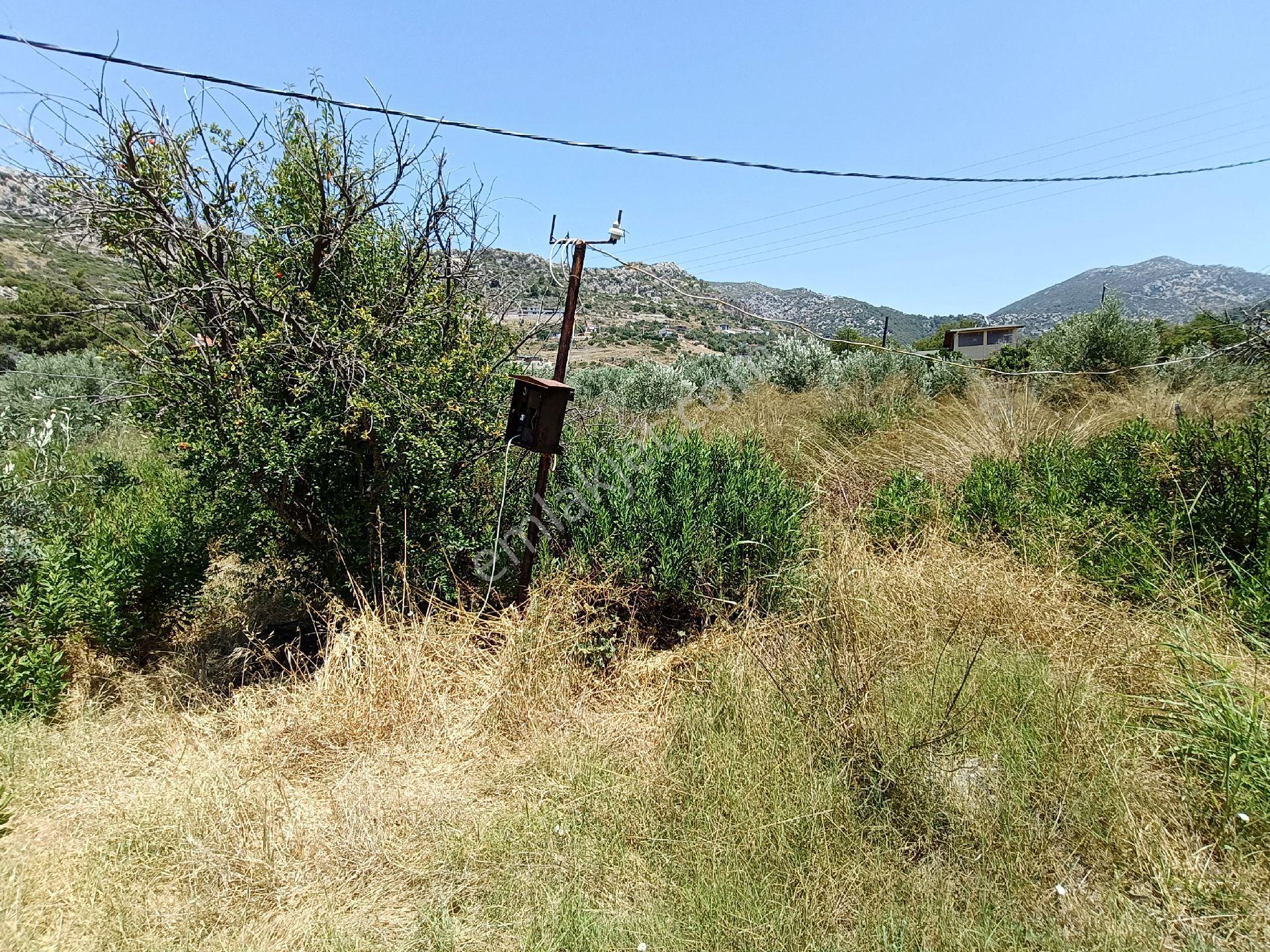 Joker: Marmaris Söğüt Denize 120 Metre Yakınlıkta Müstakil Tarla - Görsel 17
