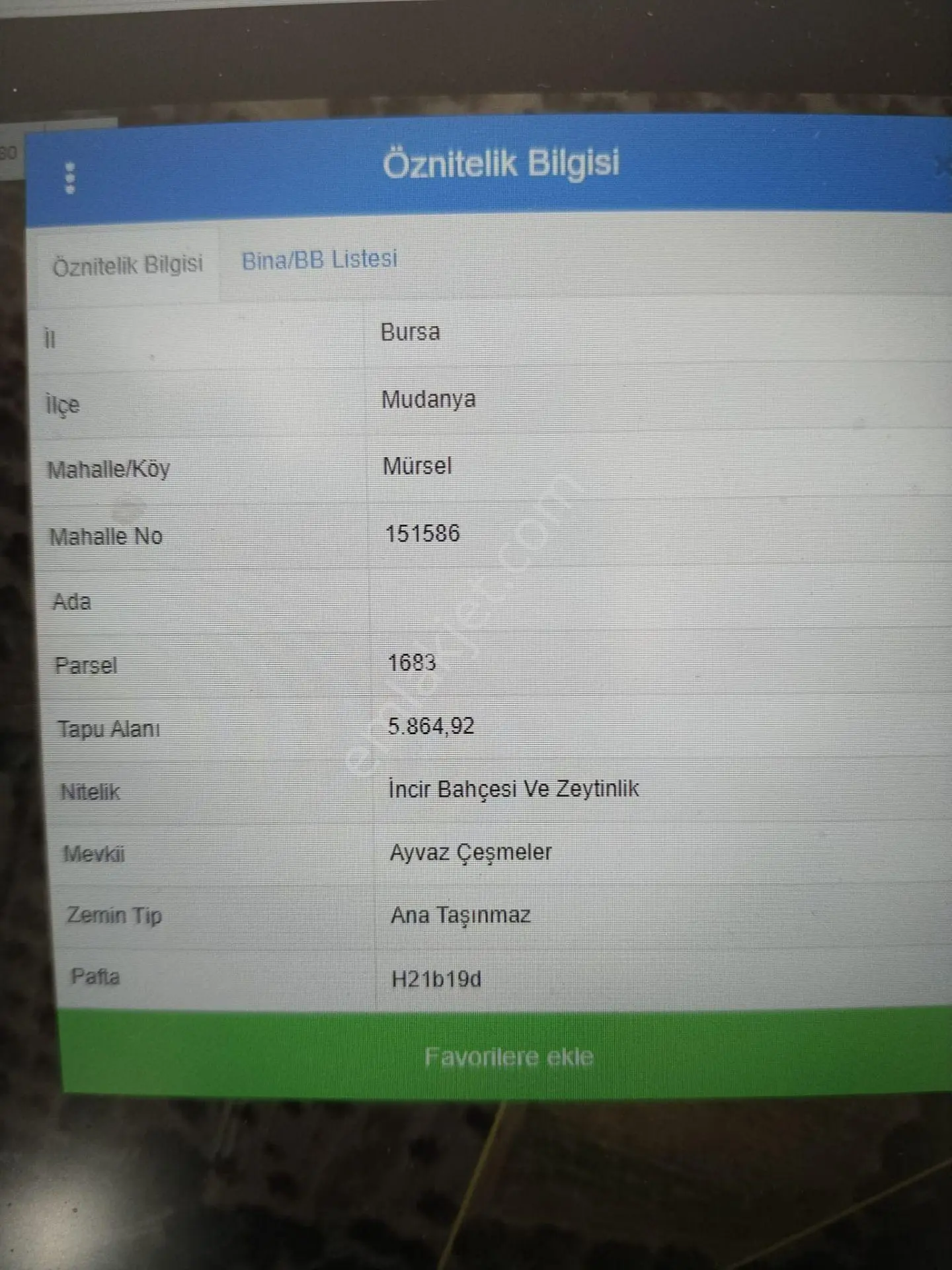 Rt Safir'den Mudanya Mürsel Köy'de Yatırımlık Tarla - Görsel 2