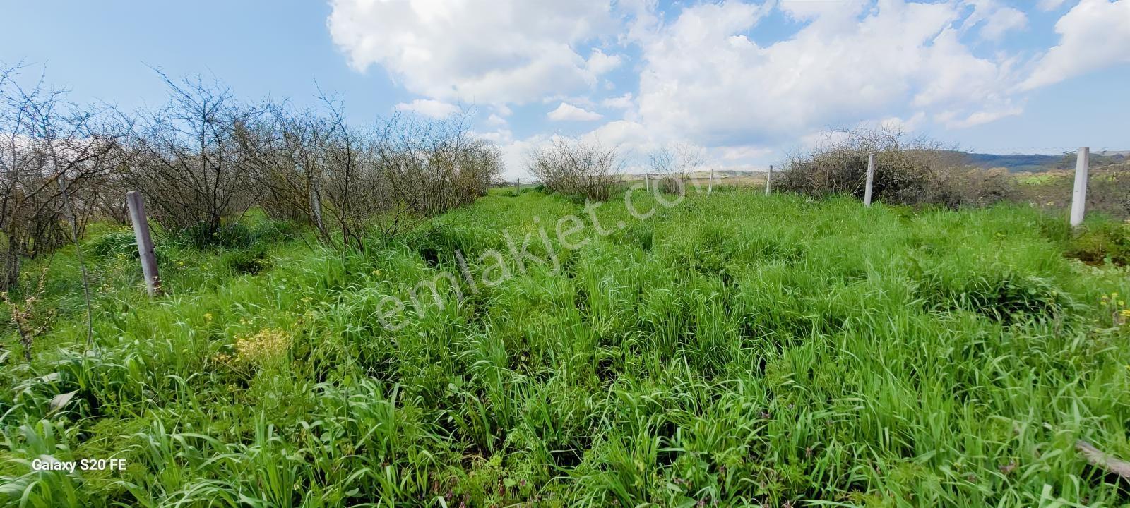 Kocaeli Kandıra Kubuzcuda Satılık Arsa Ve Varendalı2+1 Eşyalı Ev - Görsel 3