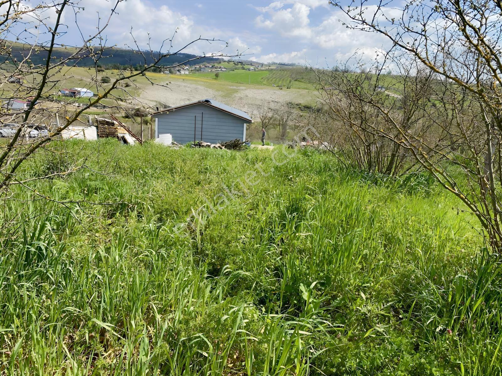 Kocaeli Kandıra Kubuzcuda Satılık Arsa Ve Varendalı2+1 Eşyalı Ev - Görsel 27
