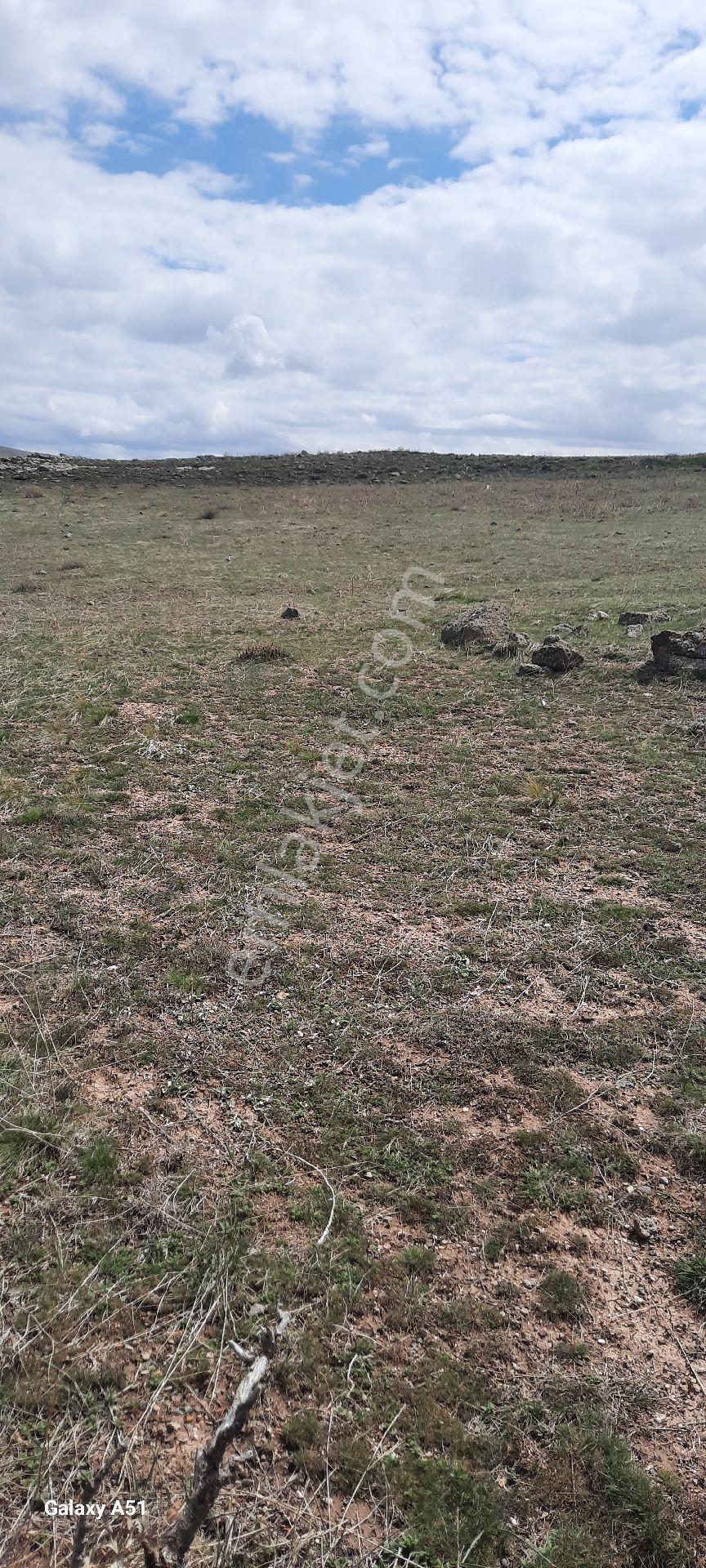 Kocasinan Emmiler 5443 M2 Tek Tapu Satılık Tarla - Görsel 6