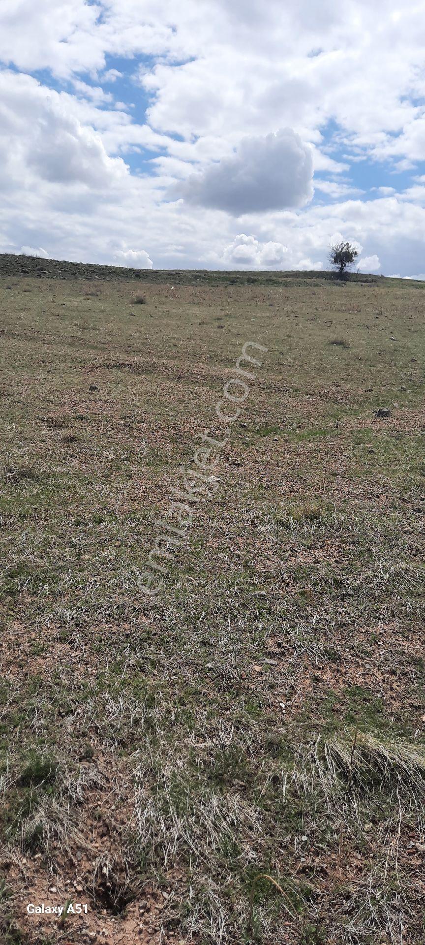 Kocasinan Emmiler 5443 M2 Tek Tapu Satılık Tarla - Görsel 9