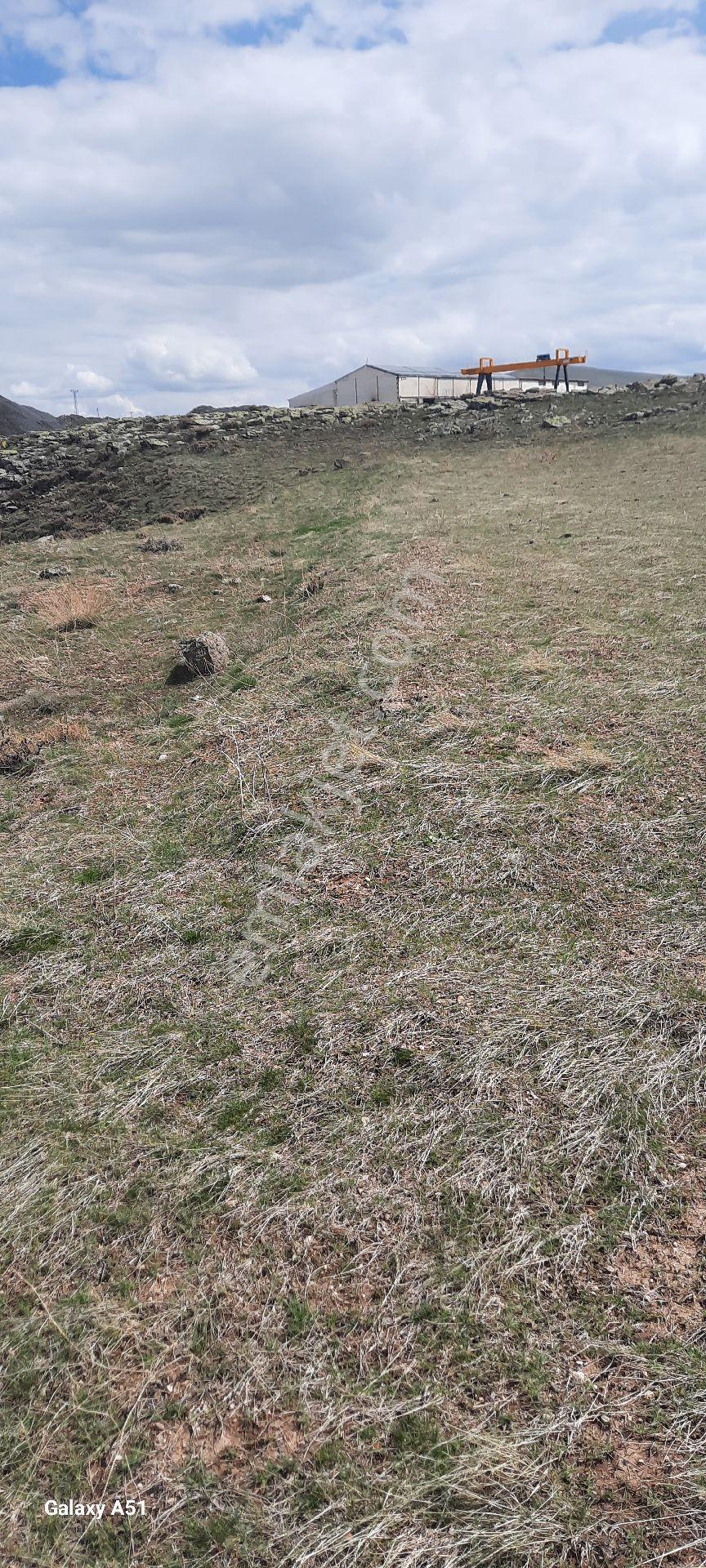 Kocasinan Emmiler 5443 M2 Tek Tapu Satılık Tarla - Görsel 8