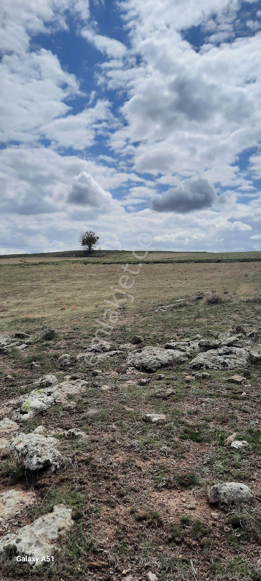 Kocasinan Emmiler 5443 M2 Tek Tapu Satılık Tarla - Görsel 12