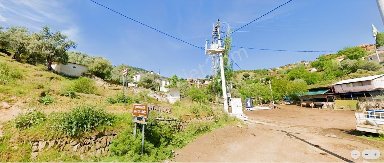Bayındır-çenikler Köyün Dibinde Üretim Yollu Satılık Zeytinlik - Görsel 14