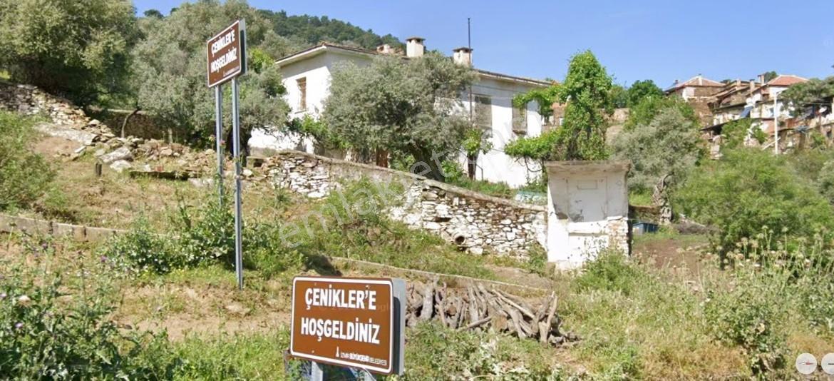 Bayındır-çenikler Köyün Dibinde Üretim Yollu Satılık Zeytinlik