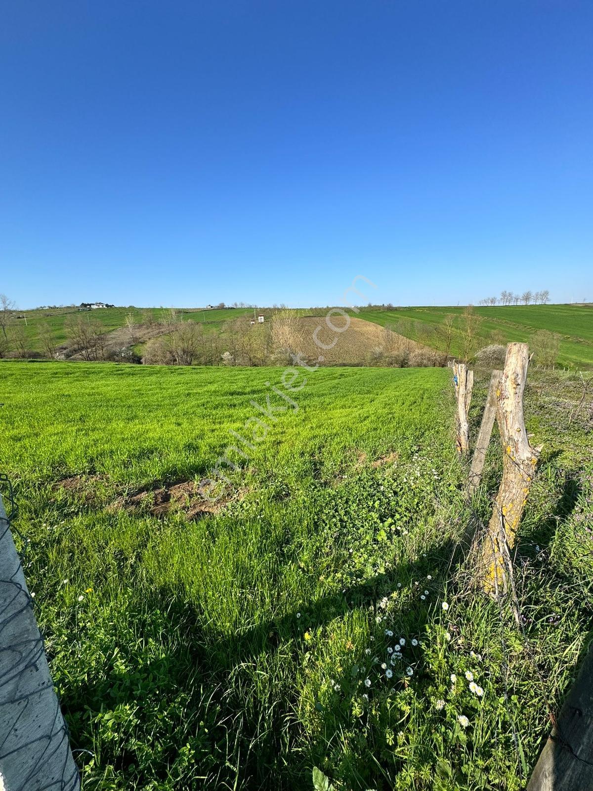 Kandıra Şerefsungurda Doğa İçinde 907 M² Satılık Tarla - Görsel 18
