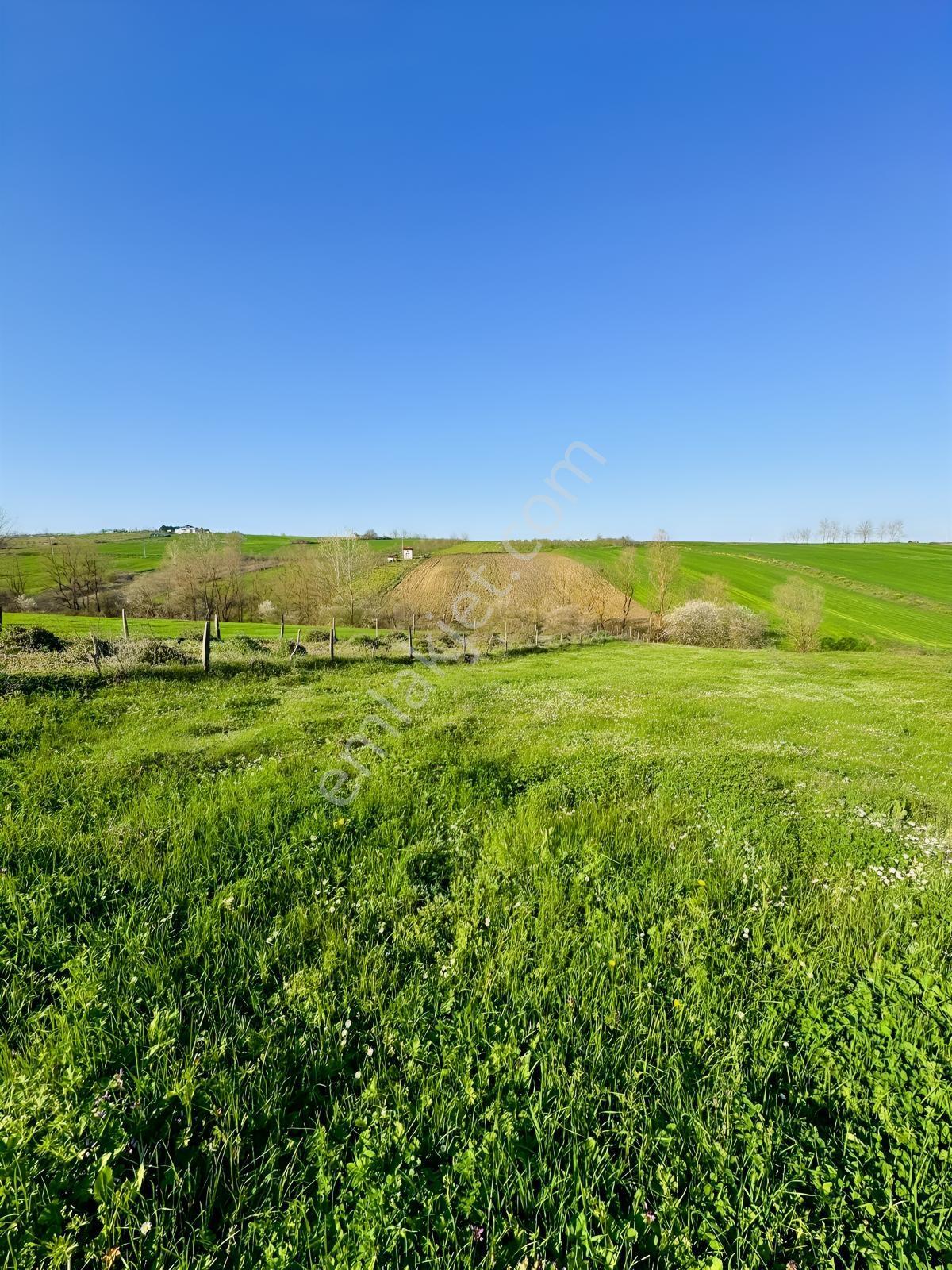 Kandıra Şerefsungurda Doğa İçinde 907 M² Satılık Tarla - Görsel 12