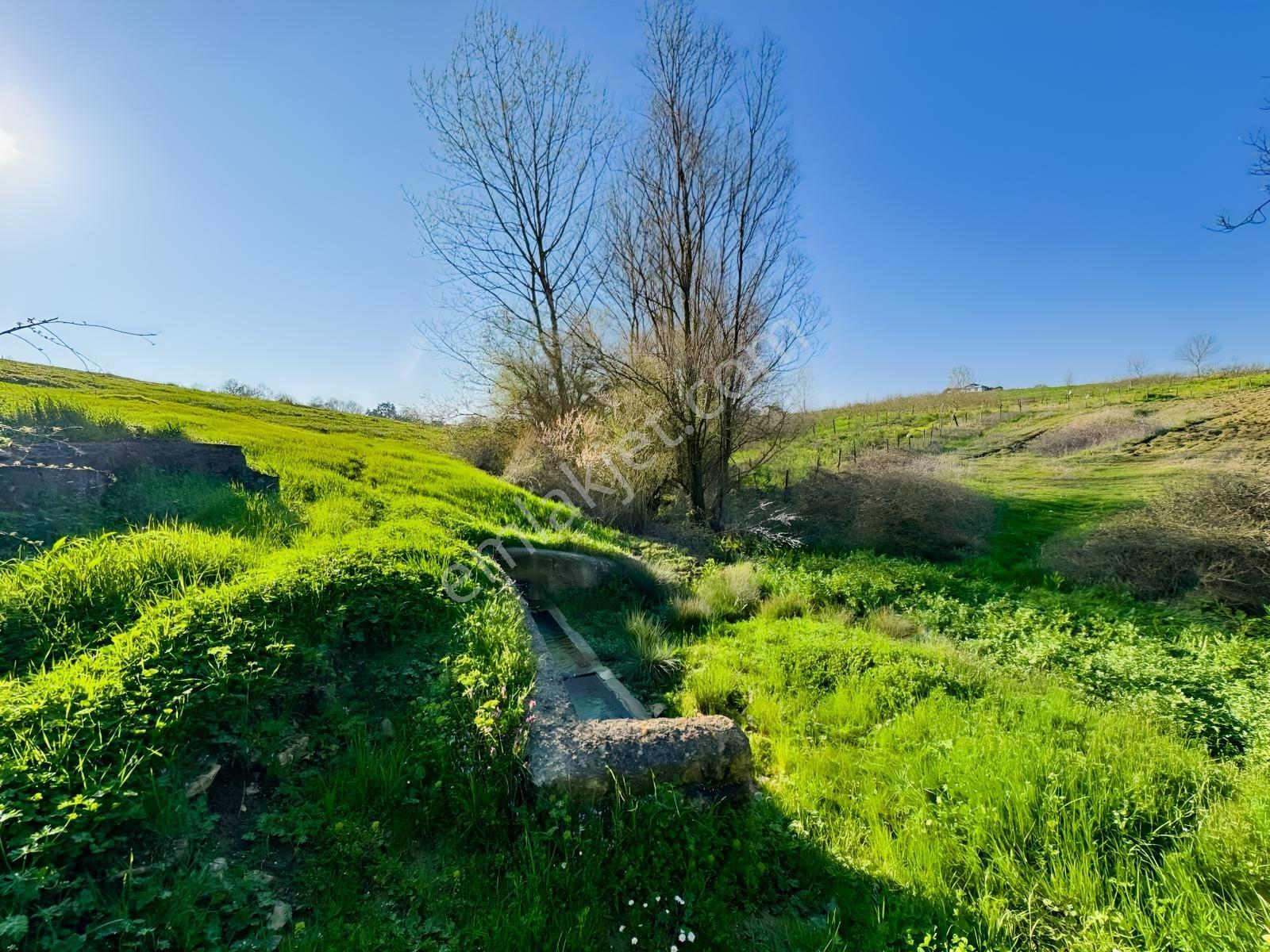 Kandıra Şerefsungurda Doğa İçinde 907 M² Satılık Tarla - Görsel 5