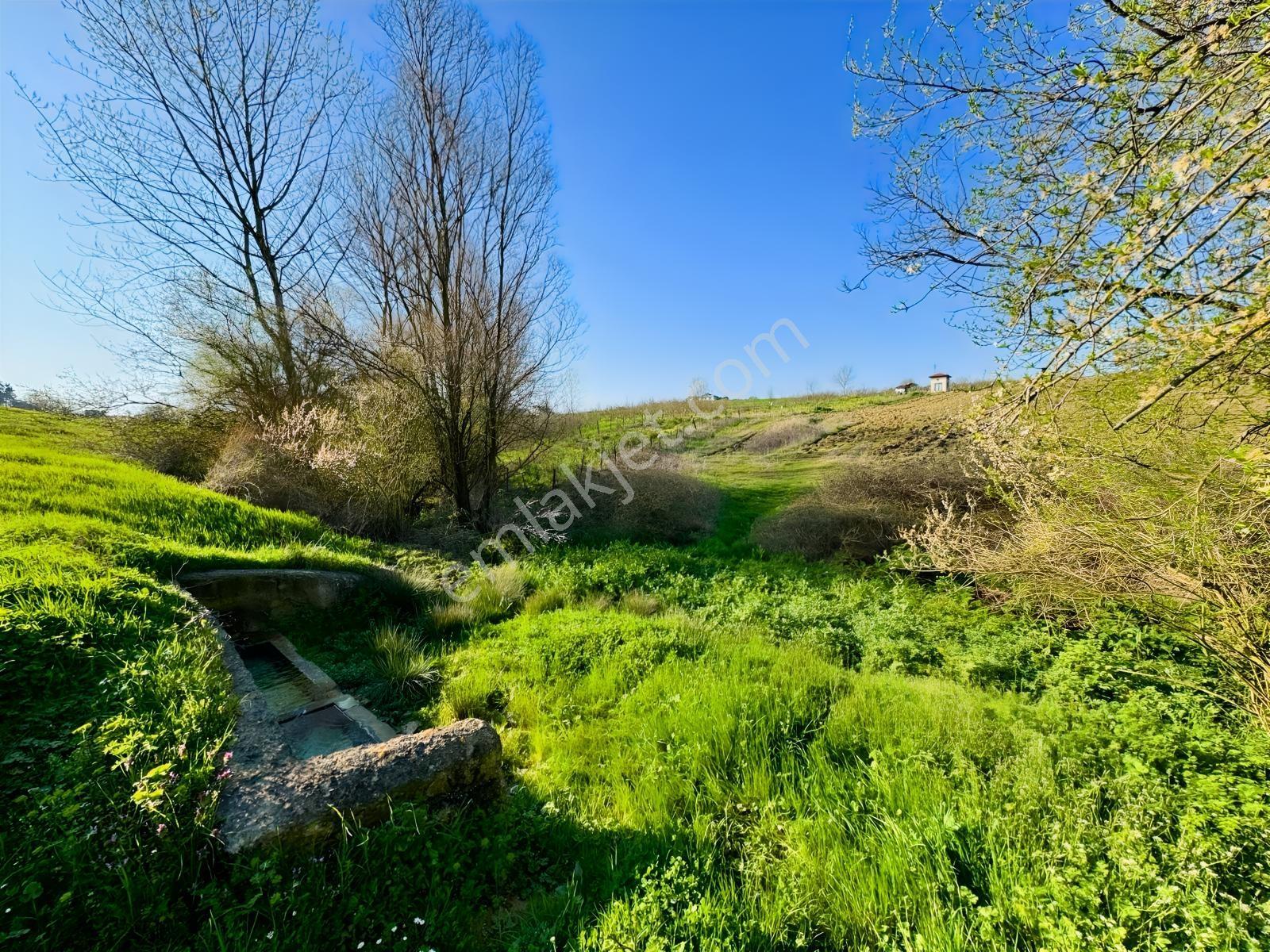 Kandıra Şerefsungurda Doğa İçinde 907 M² Satılık Tarla - Görsel 9