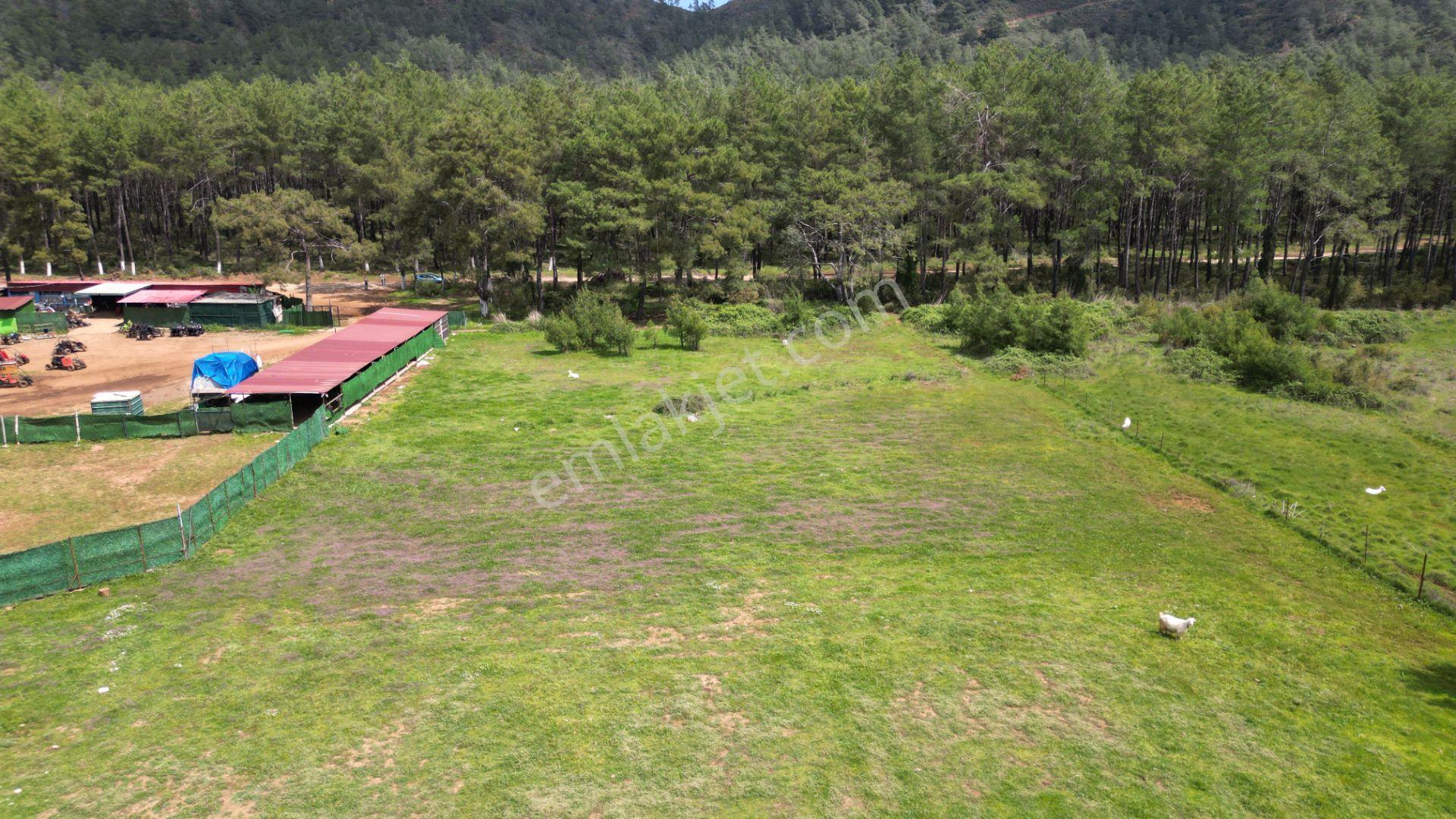 Marmaris Hisarönü Değirmenyanı'da Satılık 1.550 M2 Tarla - Görsel 9