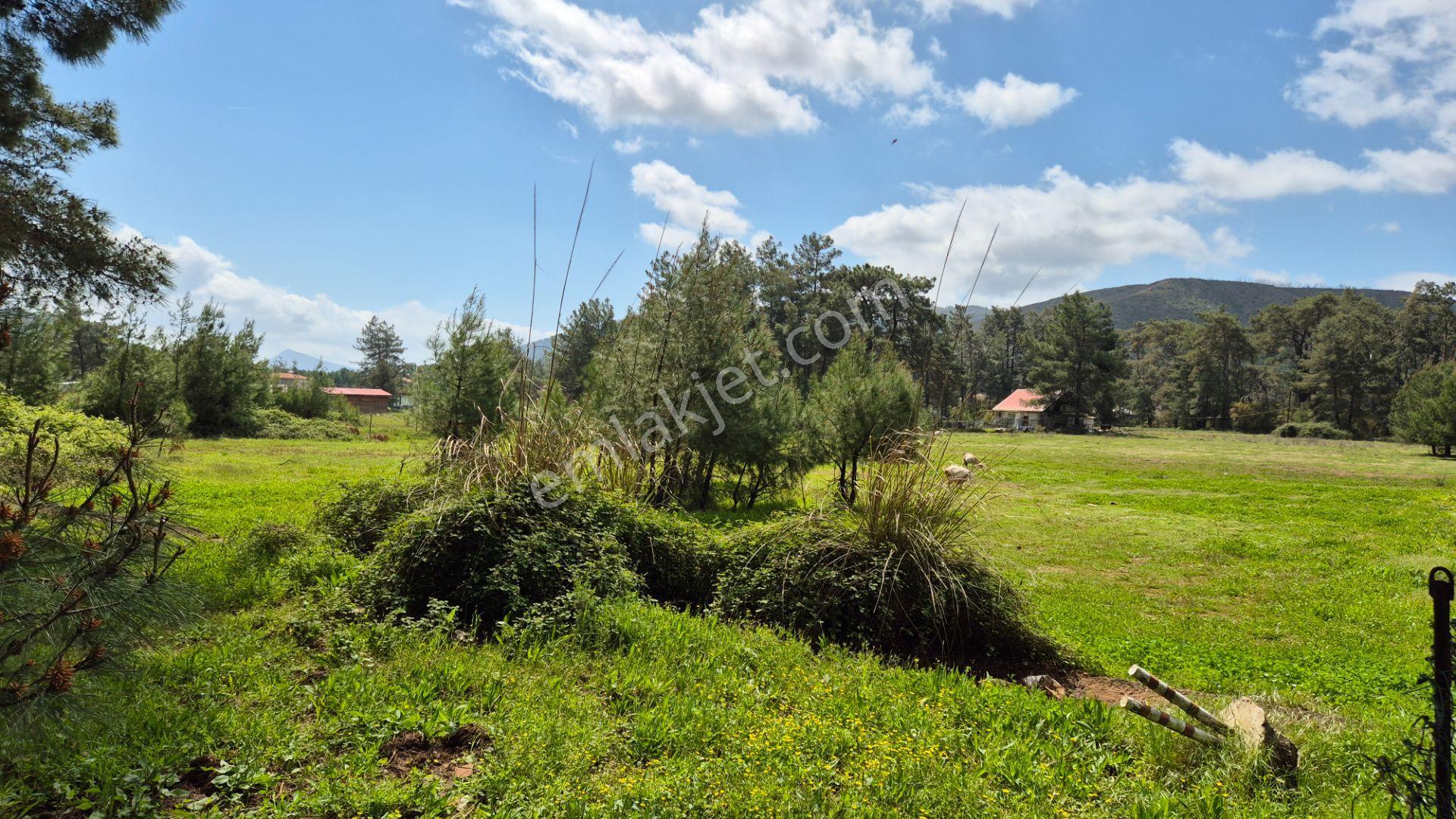 Marmaris Hisarönü Değirmenyanı'da Satılık 1.550 M2 Tarla - Görsel 14