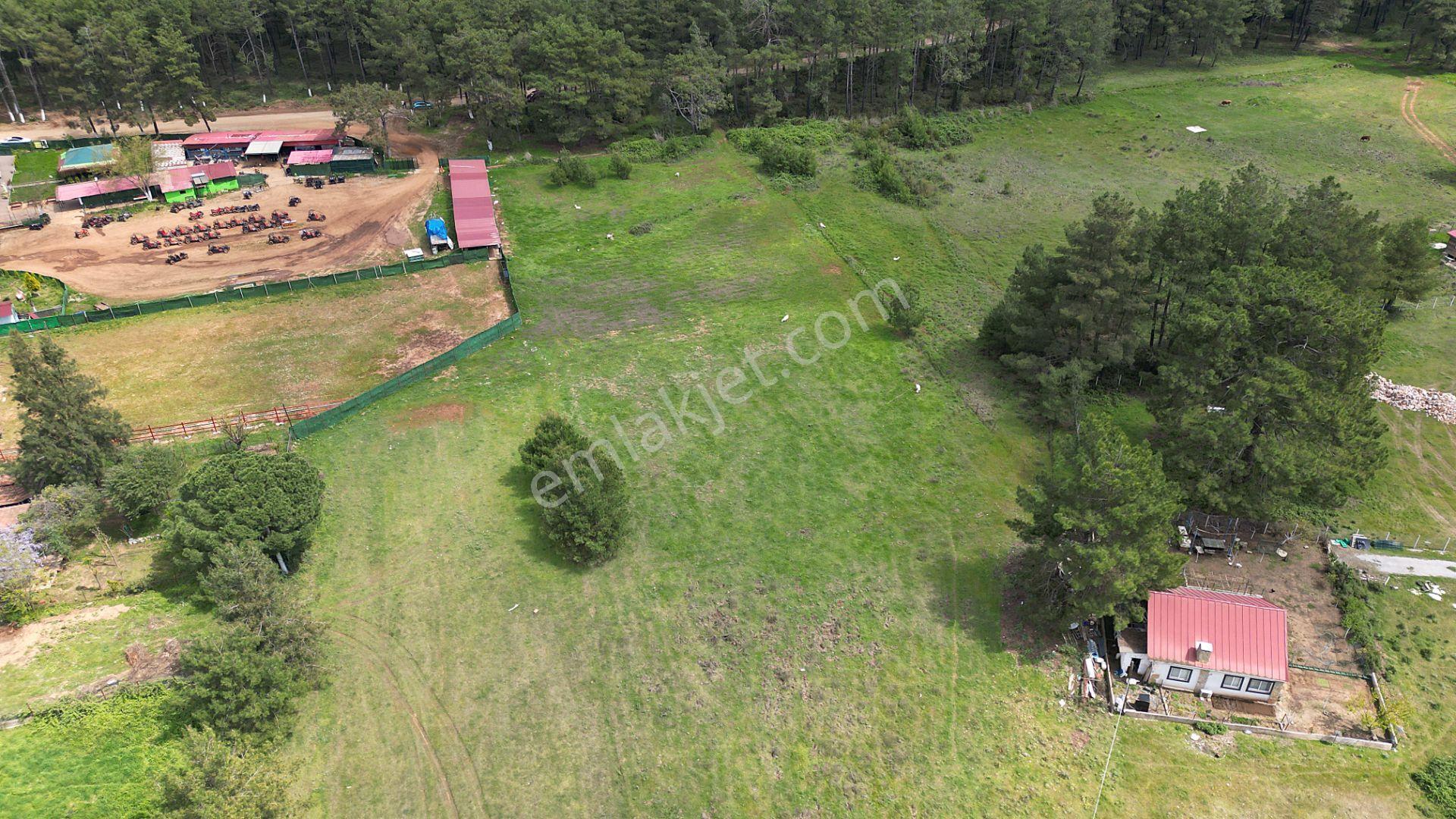 Marmaris Hisarönü Değirmenyanı'da Satılık 1.550 M2 Tarla