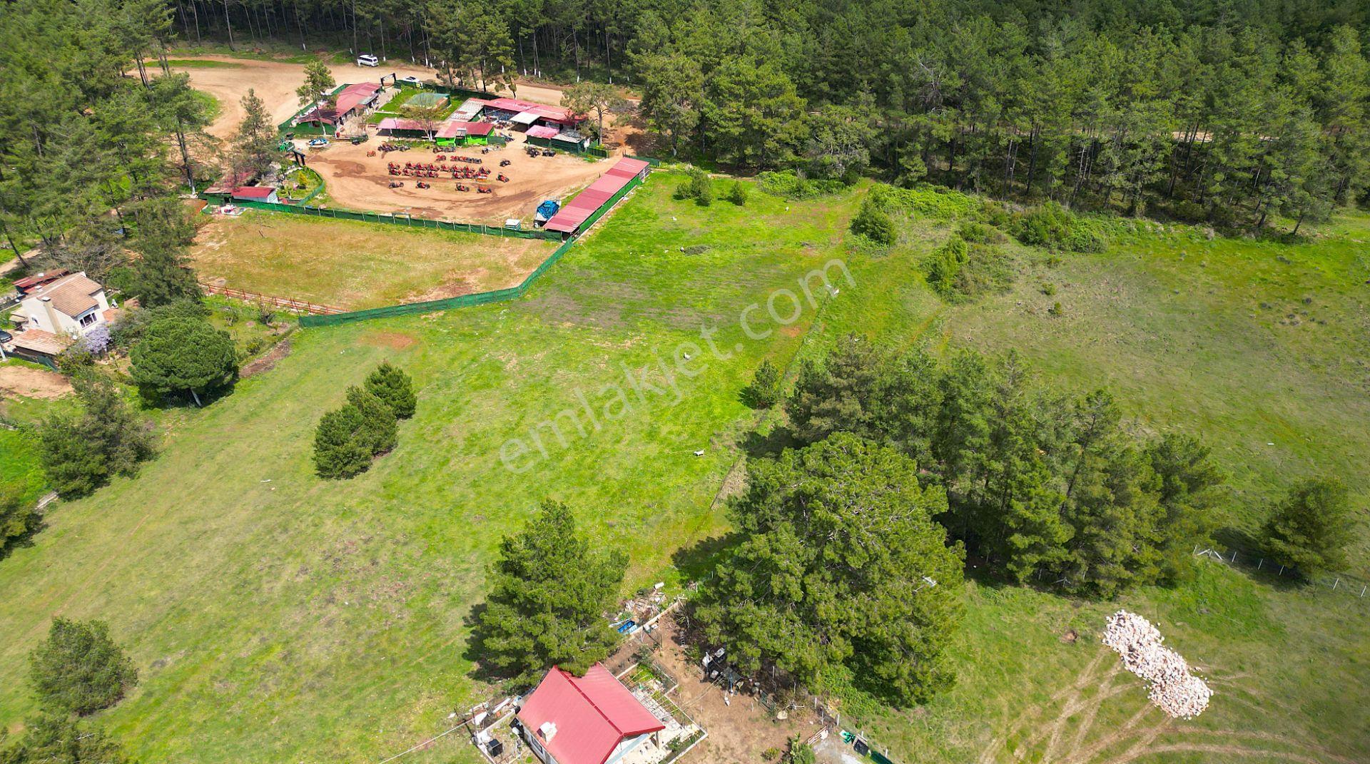 Marmaris Hisarönü Değirmenyanı'da Satılık 1.550 M2 Tarla - Görsel 6