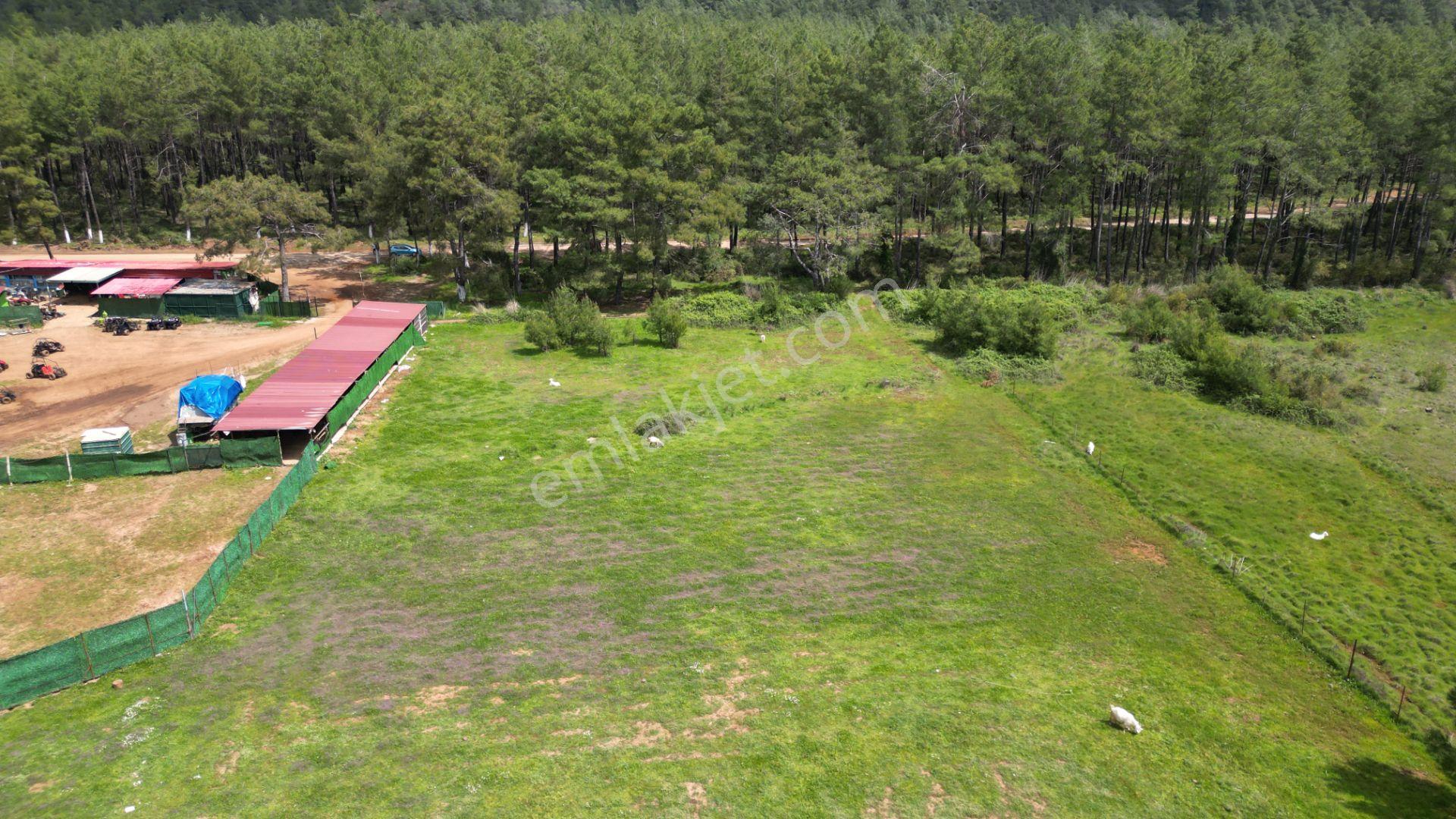 Marmaris Hisarönü Değirmenyanı'da Satılık 1.550 M2 Tarla - Görsel 8
