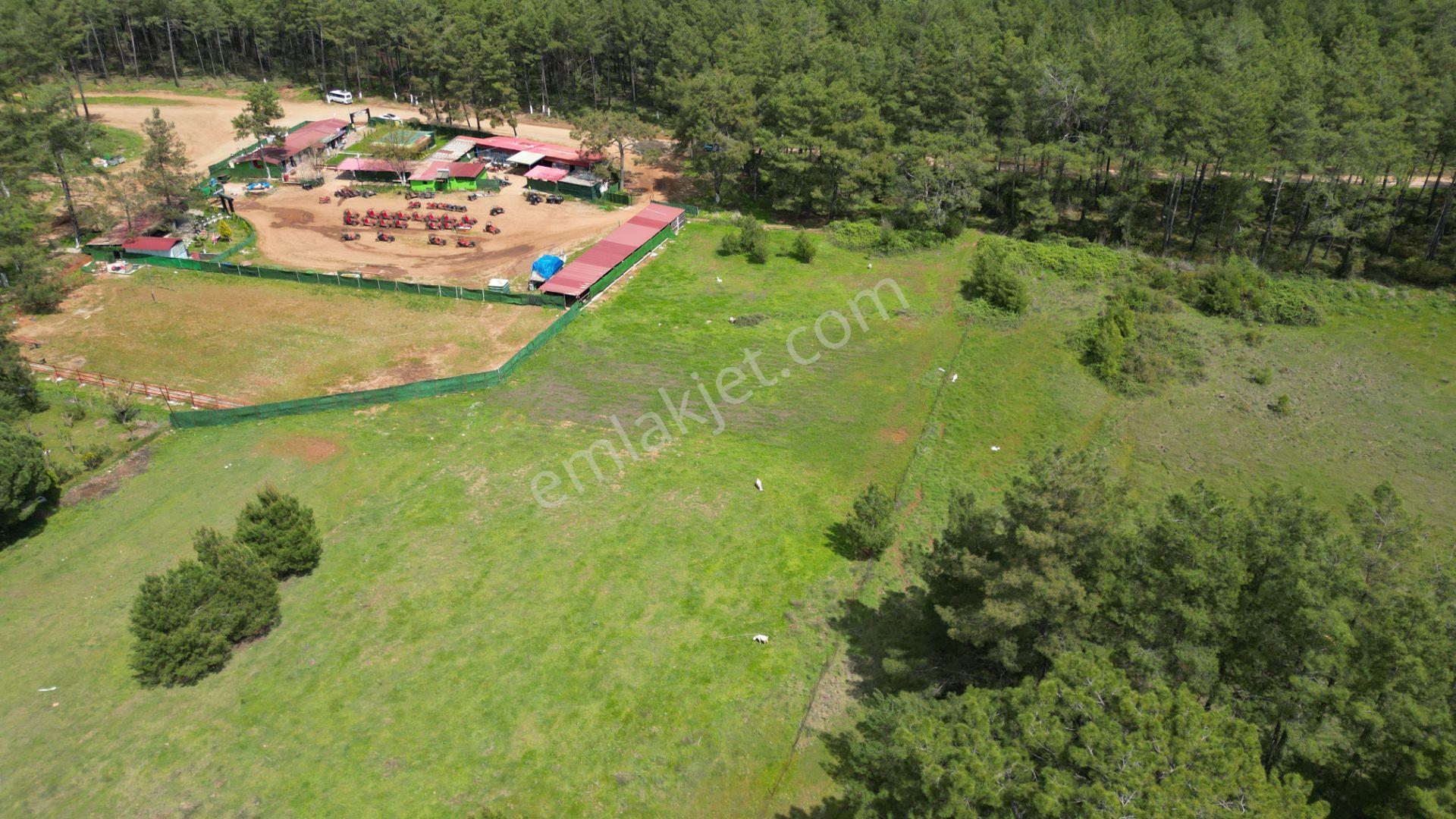 Marmaris Hisarönü Değirmenyanı'da Satılık 1.550 M2 Tarla - Görsel 7