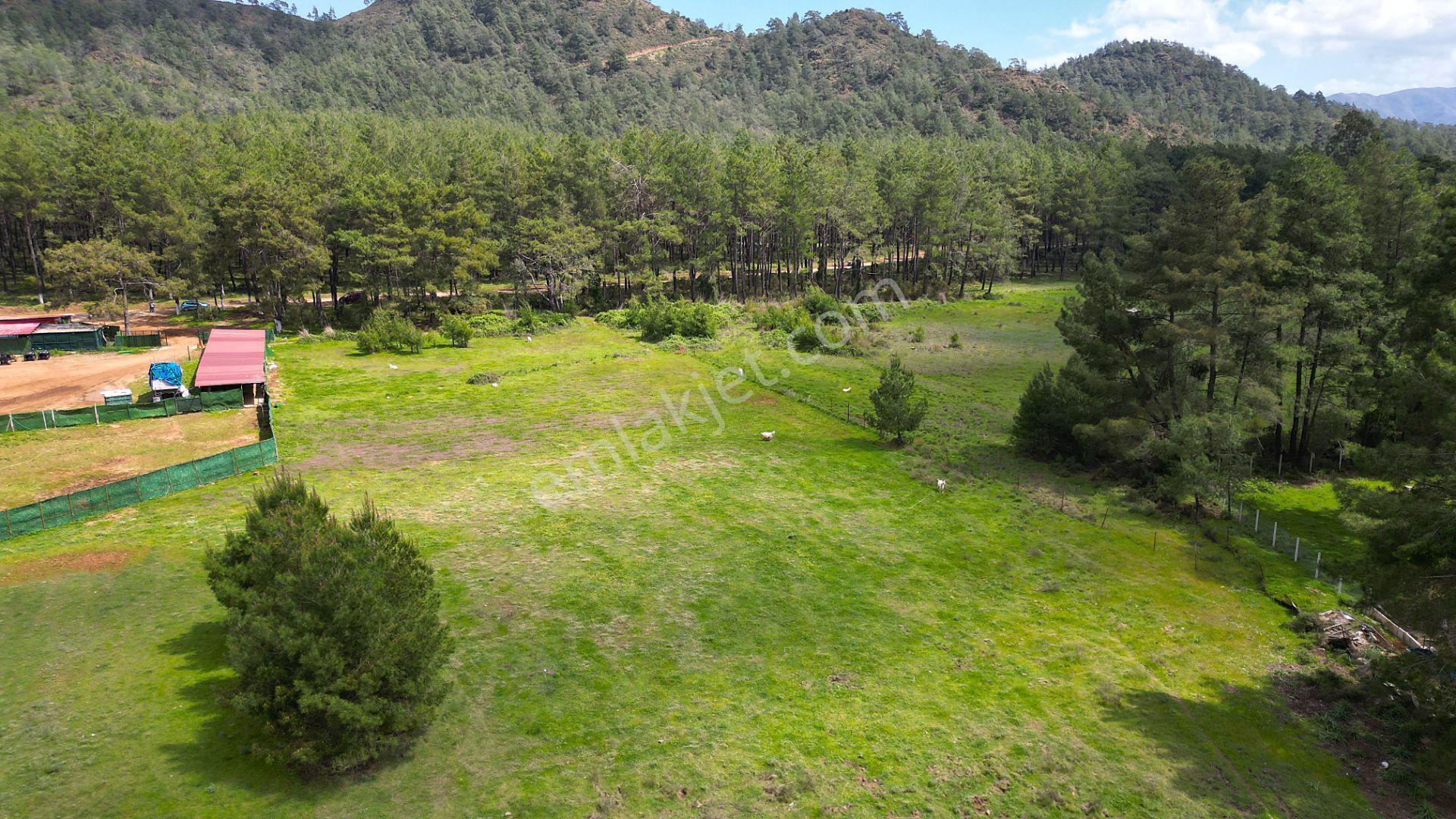 Marmaris Hisarönü Değirmenyanı'da Satılık 1.550 M2 Tarla - Görsel 10