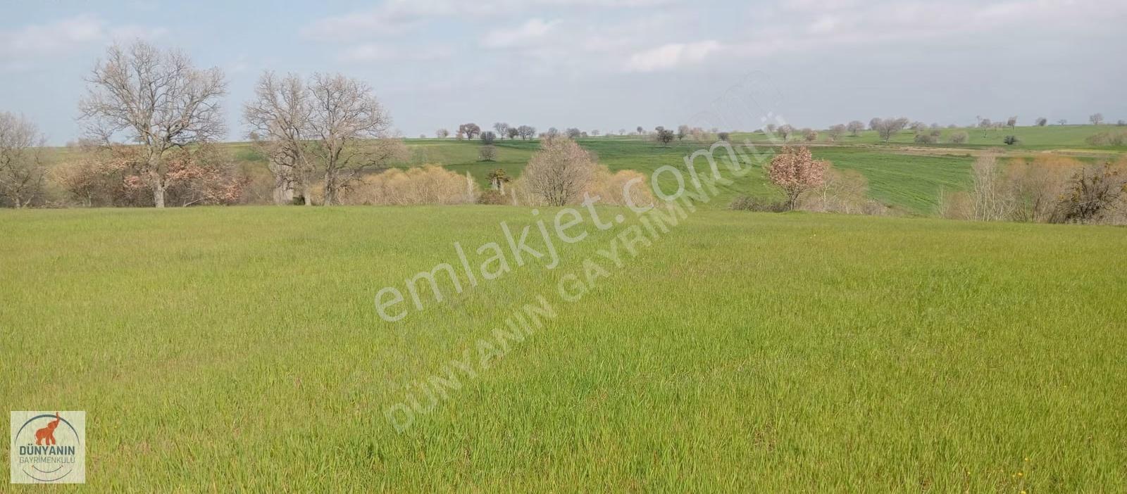 Çanakkale Bigada Ağaköy Girişinde 2462m2 Satılık Tarla - Görsel 6