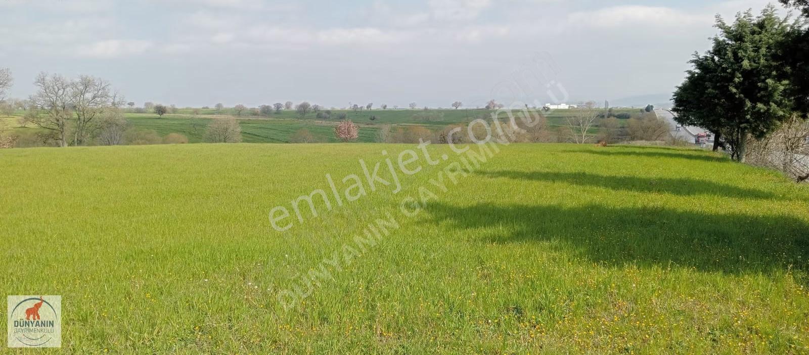Çanakkale Bigada Ağaköy Girişinde 2462m2 Satılık Tarla - Görsel 12