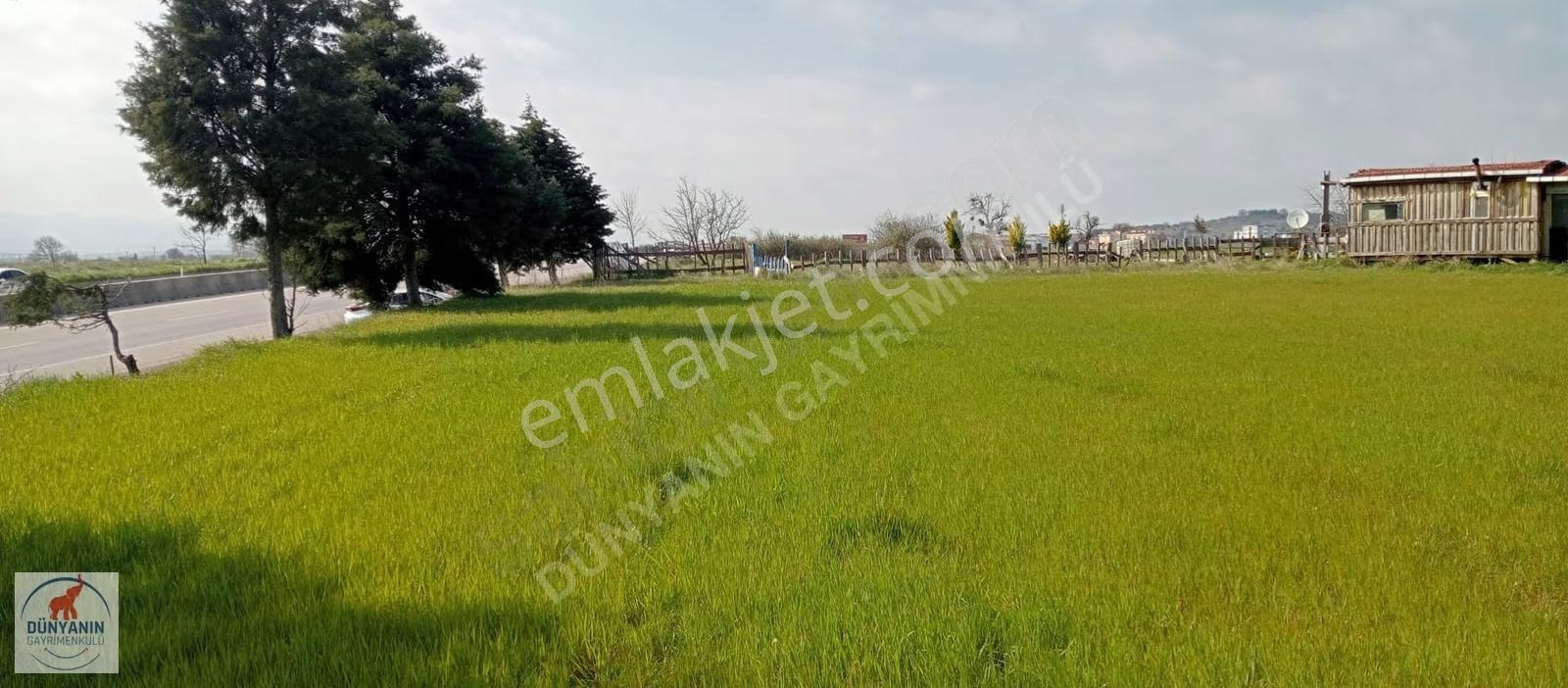 Çanakkale Bigada Ağaköy Girişinde 2462m2 Satılık Tarla - Görsel 4