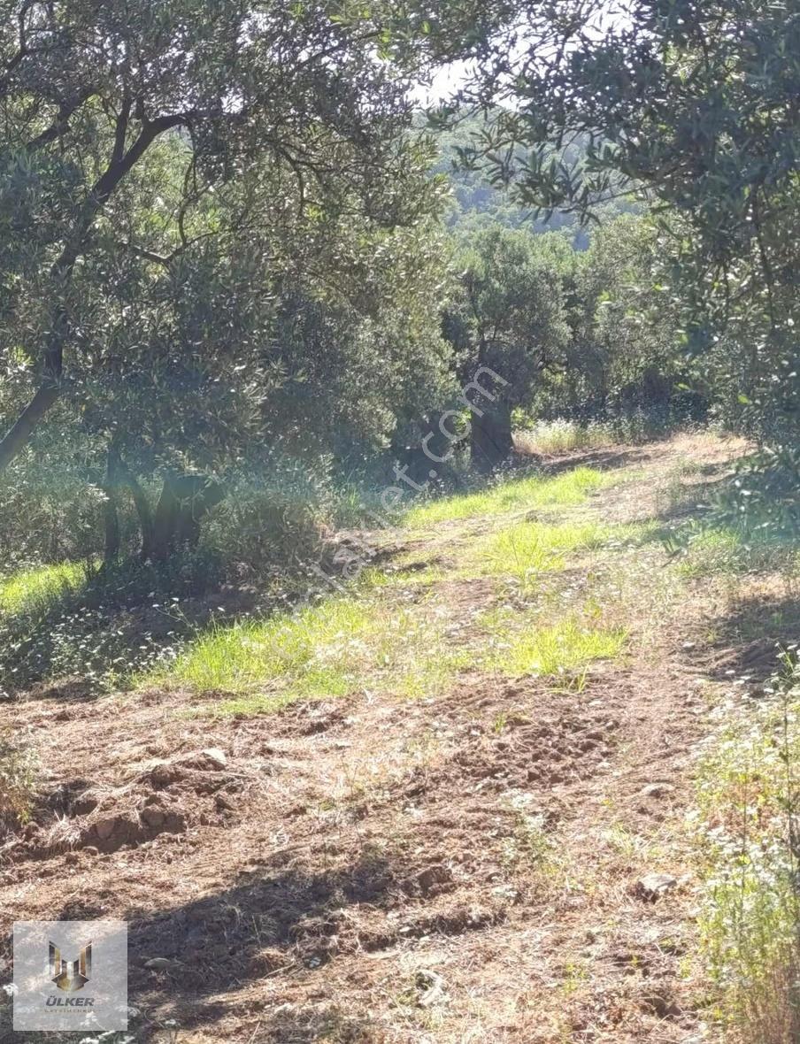 Ülker Den Talatbey De Deniz Manzaralı Kadastro Yoluna Cephe - Görsel 9
