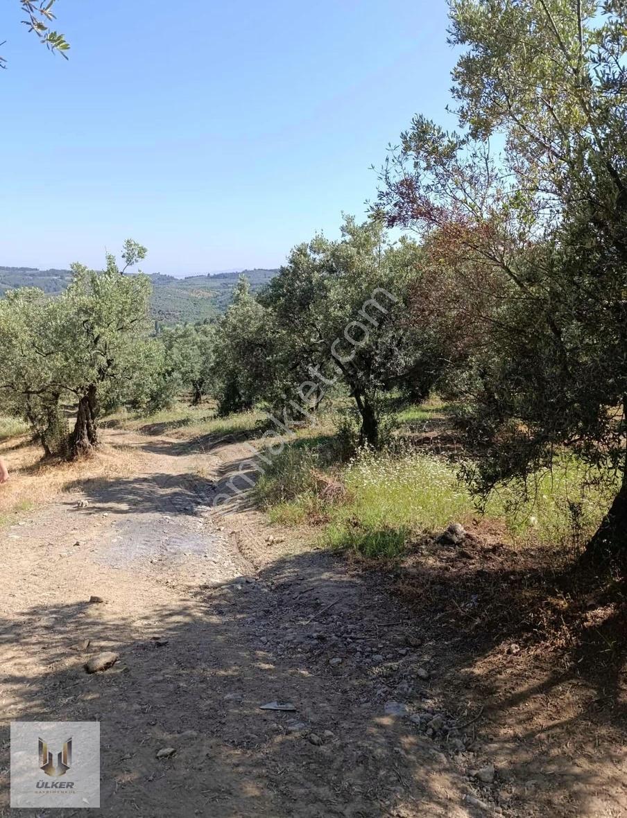 Ülker Den Talatbey De Deniz Manzaralı Kadastro Yoluna Cephe - Görsel 7