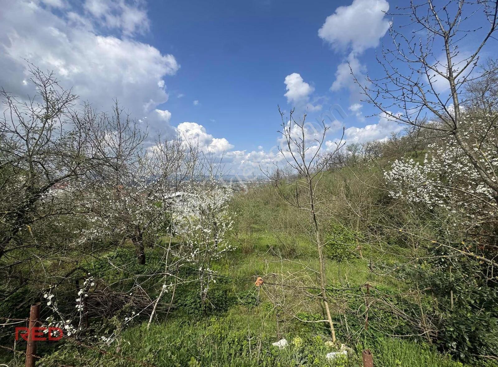Kartepe Nusretiye'de Doğa İçinde 1 Dönüm İmarlı Arsa - Görsel 7
