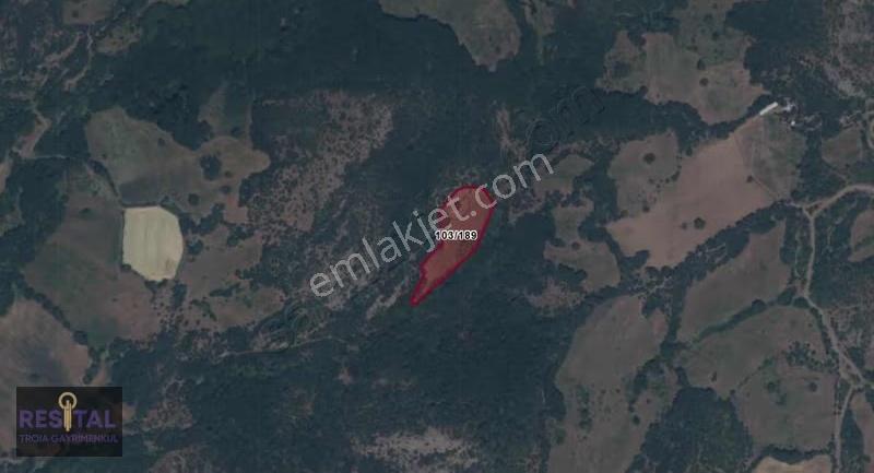 Lapseki Kırcalarda Yatırımlık Tarla