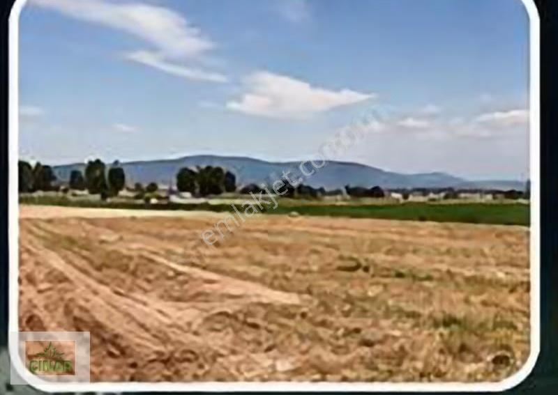Altınkale Mahallesi'de Kiralık Kırmızı Tiçari Arsa Çınar Emlak - Görsel 2