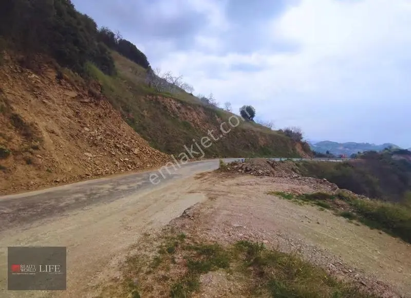 Rw Lıfe // Yaylapınar Mh. Sinekçiler Yakını Satılık Zeytinlik - Görsel 3