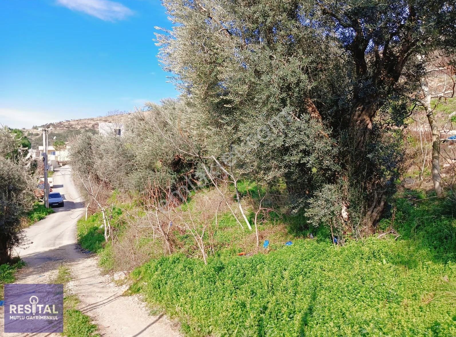 Rs Mutlu Gürsu Karahıdır'da Köy İçinde 1595 M2 Satılık Arazi - Görsel 4