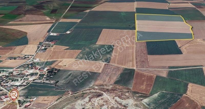 Edirne Merkez'de Emsalsiz Verimli Geniş Arazi - Görsel 4