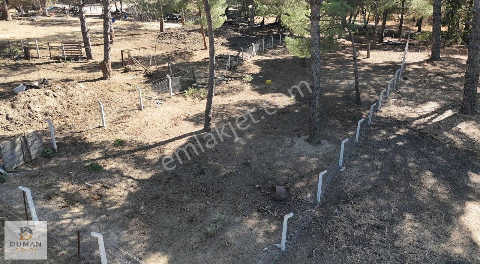 Duman Emlak'tan Yukarıbey'de Köye Yakın 944 M2 Fıstıklı Tarla - Görsel 7