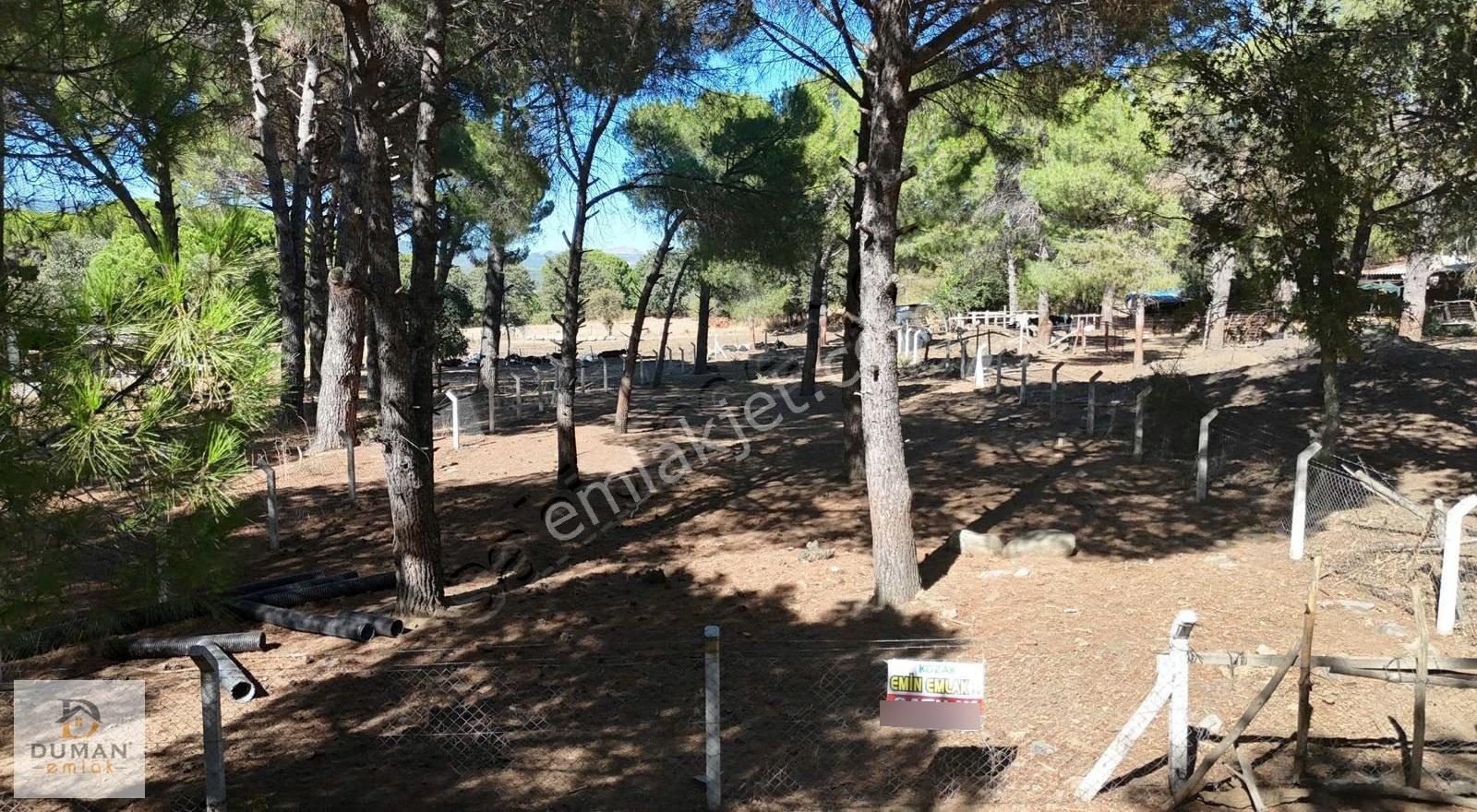Duman Emlak'tan Yukarıbey'de Köye Yakın 944 M2 Fıstıklı Tarla - Görsel 9