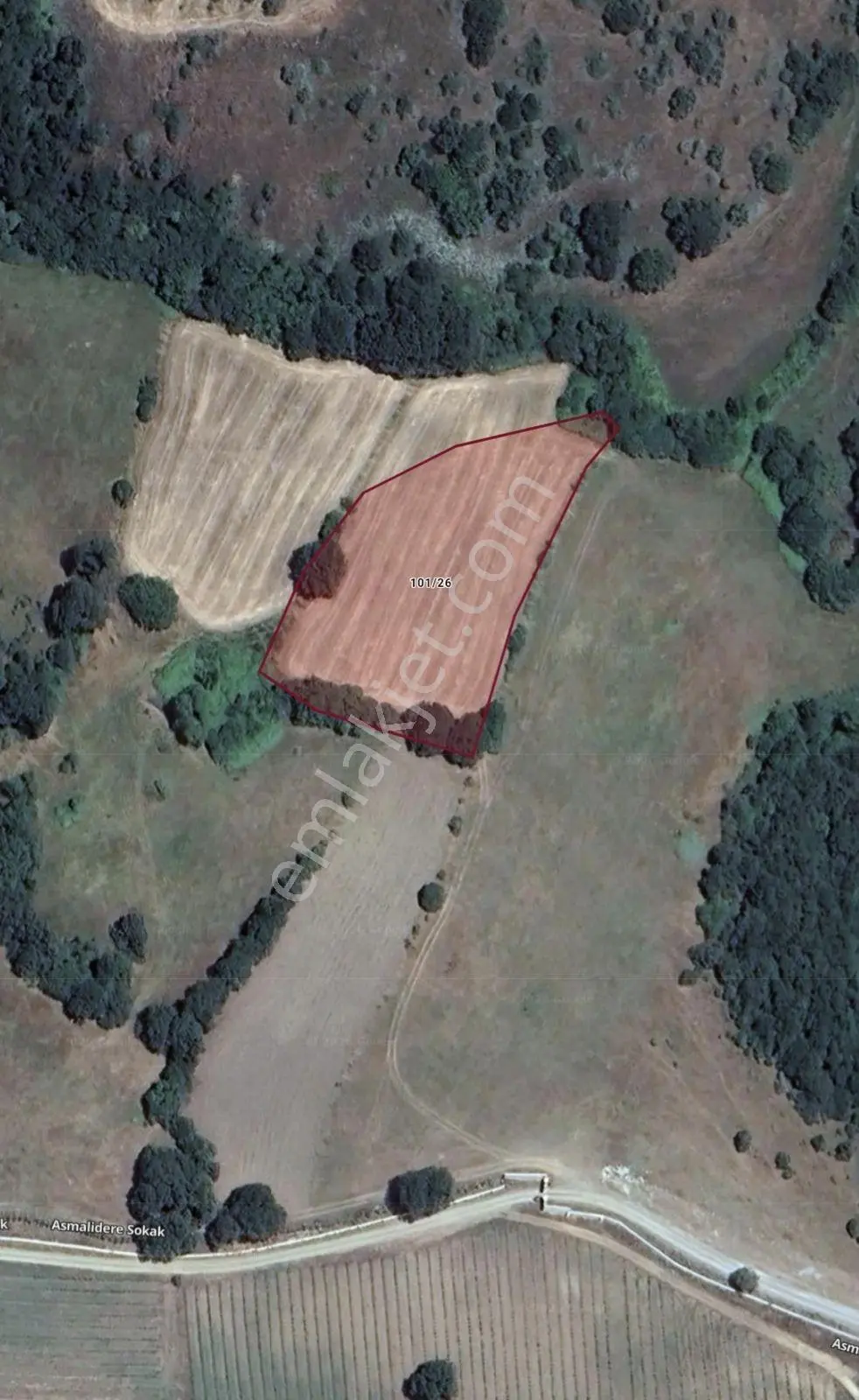 Dialog Leo Balıkesir Susurluk Asmalıdere Satılık 4600 M2 Tarla - Görsel 4