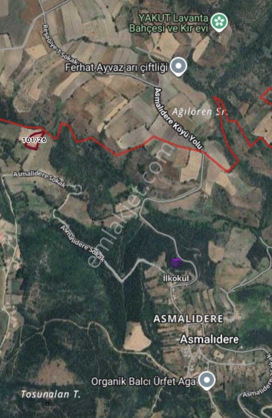 Dialog Leo Balıkesir Susurluk Asmalıdere Satılık 4600 M2 Tarla