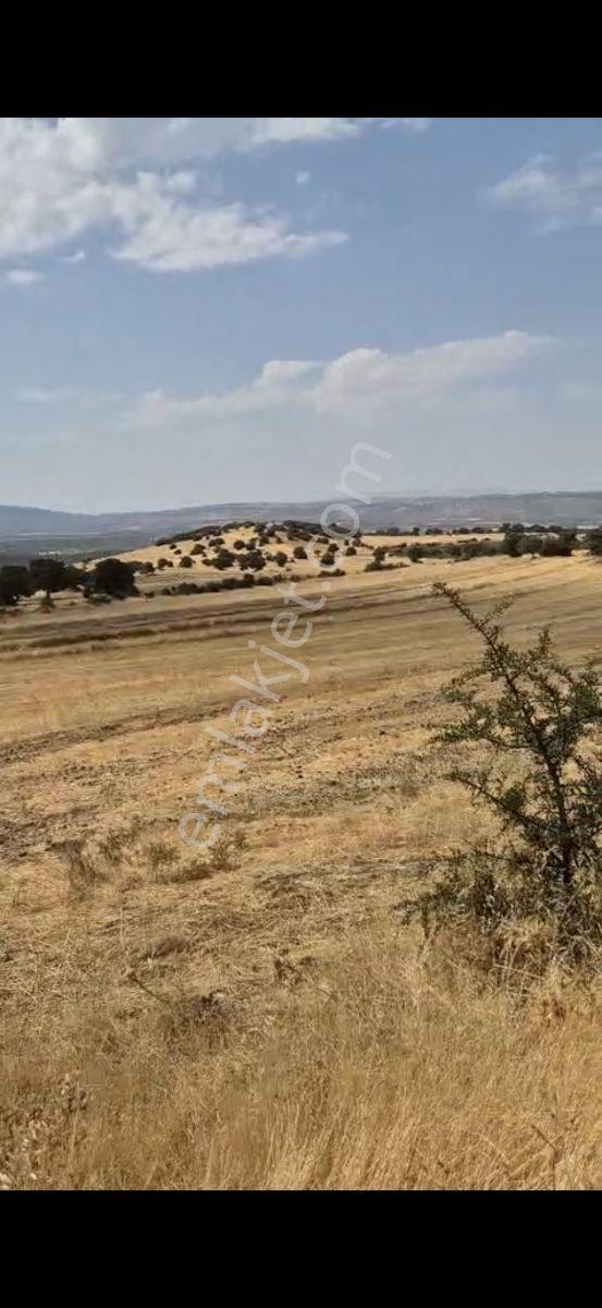 Salihli Beşyol Emlaktan 150 Dönüm Satılık Arazi - Görsel 8