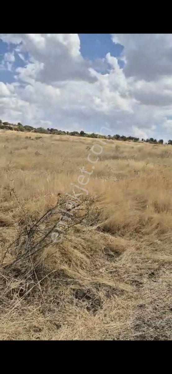 Salihli Beşyol Emlaktan 150 Dönüm Satılık Arazi - Görsel 5