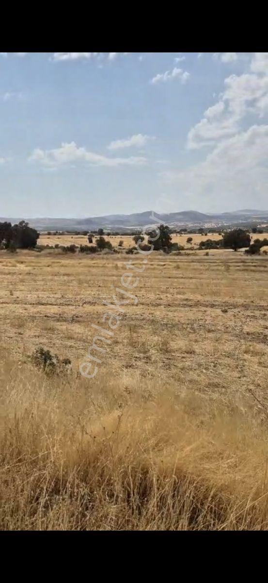 Salihli Beşyol Emlaktan 150 Dönüm Satılık Arazi - Görsel 11