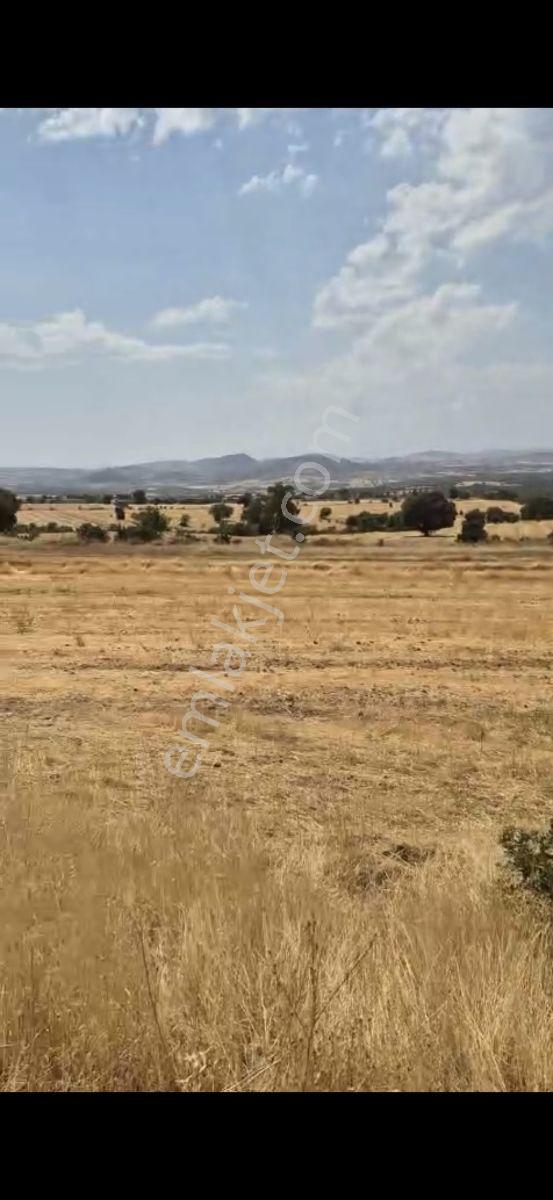 Salihli Beşyol Emlaktan 150 Dönüm Satılık Arazi