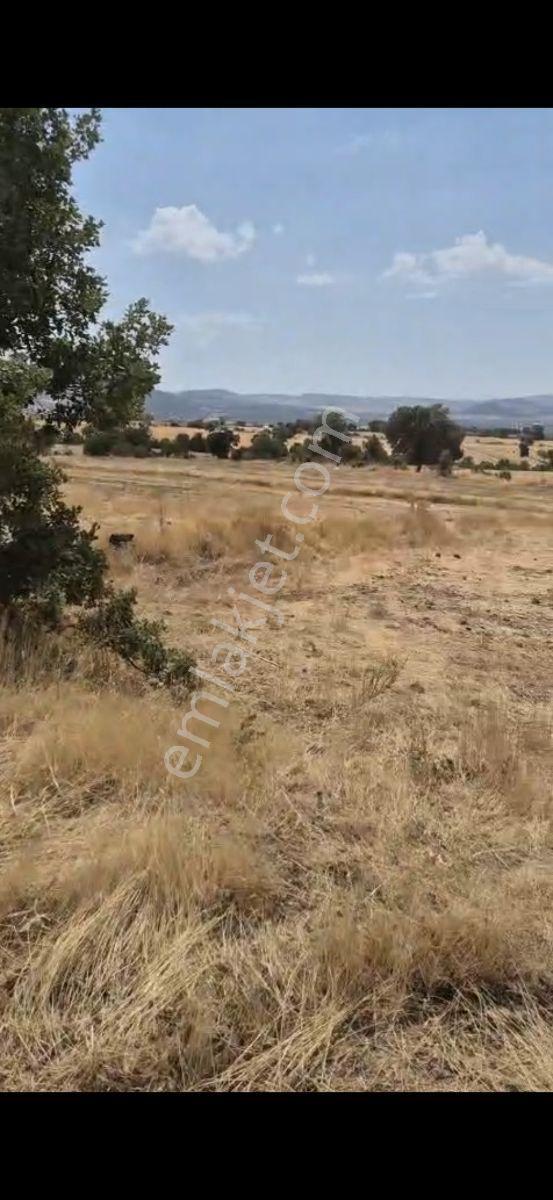 Salihli Beşyol Emlaktan 150 Dönüm Satılık Arazi - Görsel 3